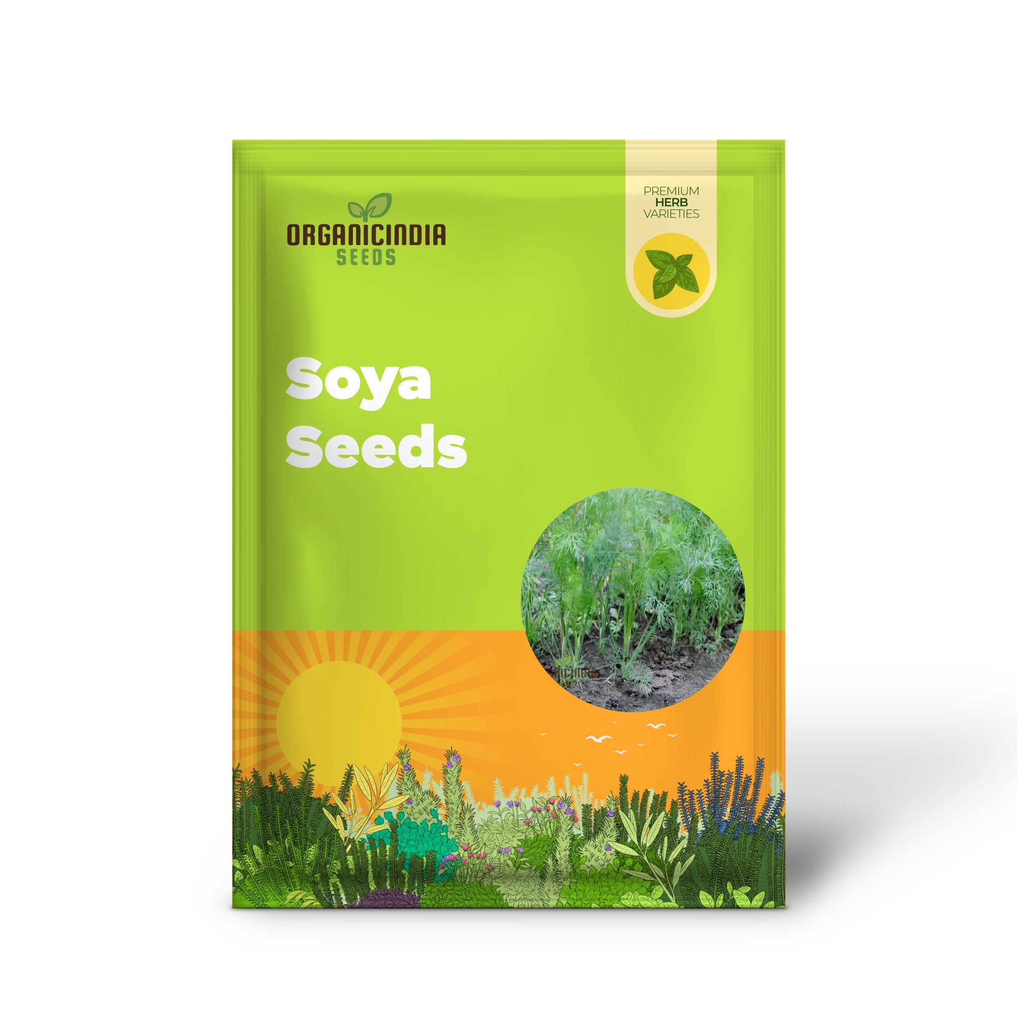 Dill (Soya) Planting Seeds for Planting, A Complete Guide to Planting and Gardening with Herb Seeds