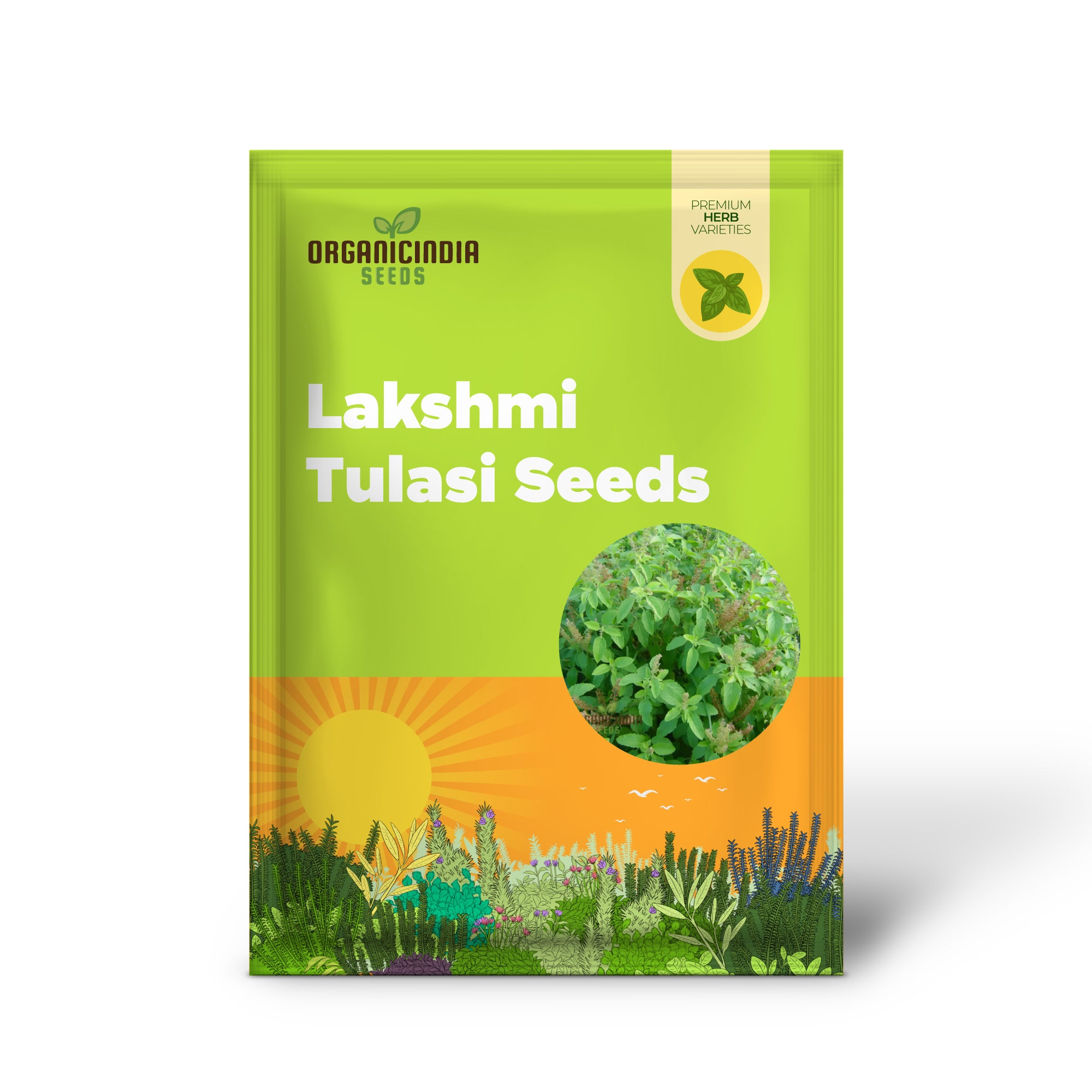 Lakshmi Tulasi Seeds or Basil Herb Seeds For Planting