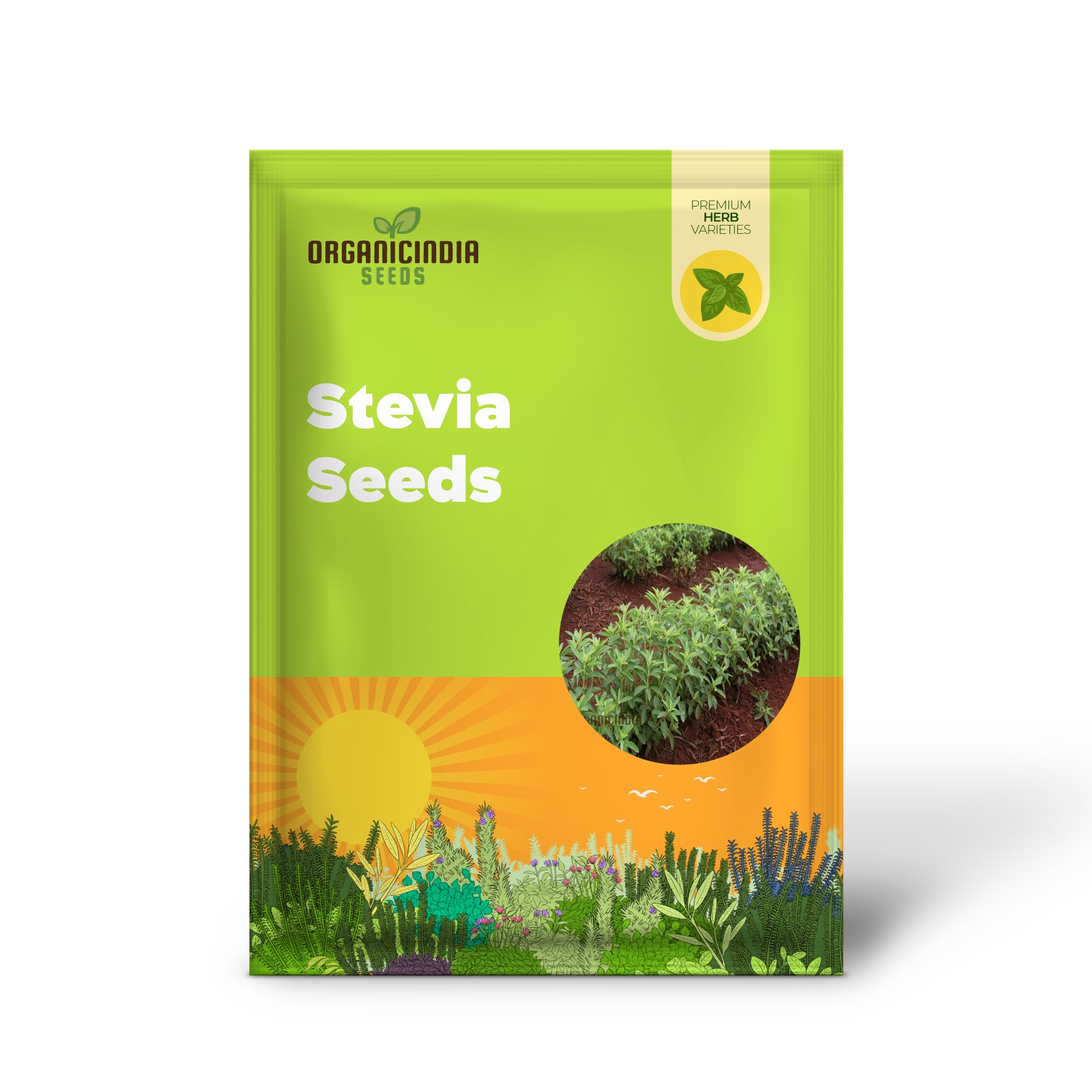 Stevia Planting Seeds Sweetening Your Garden, Planting and Cultivating Culinary Seeds