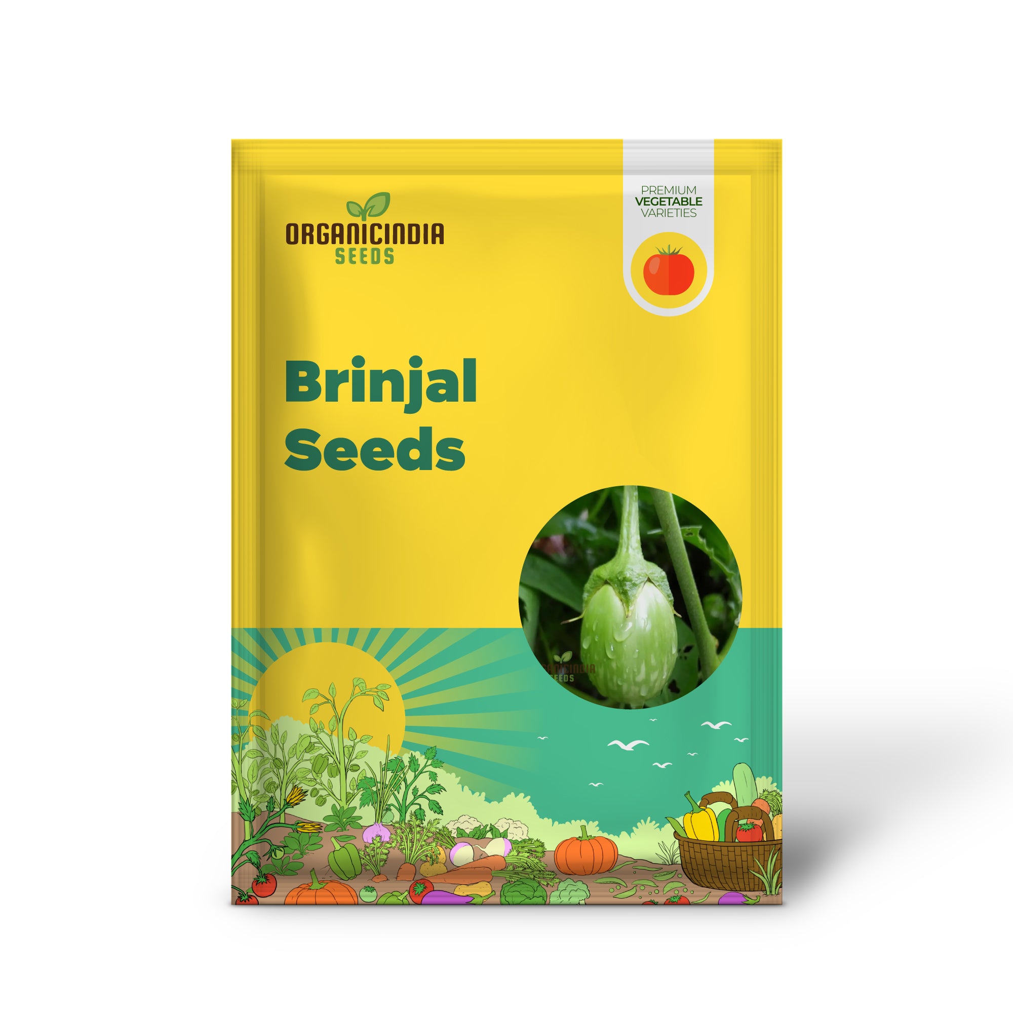 Brinjal Green Round Vegetable Seeds, Heirloom Variety, Prolific Yield, Ideal for Home Gardening