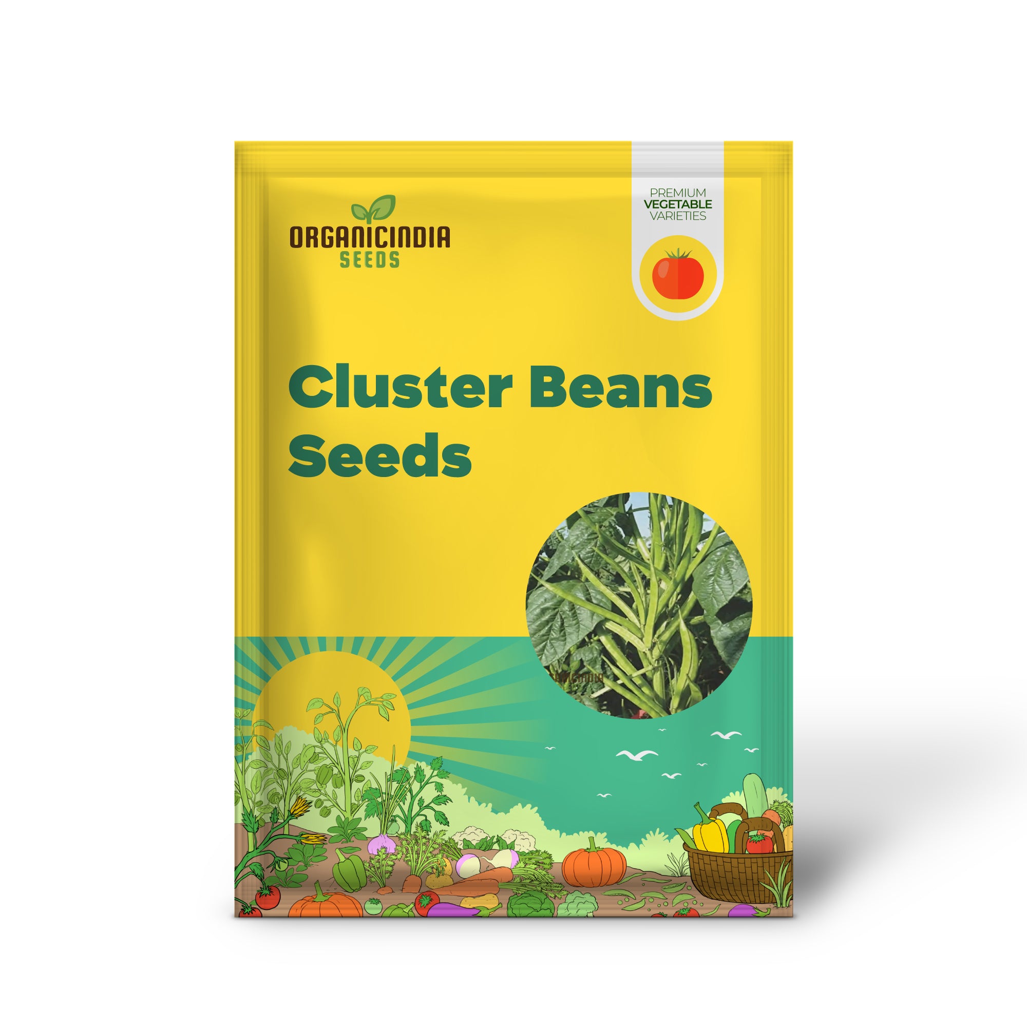 Cluster Beans Vegetable Seeds, High-Yield, Disease-Resistant, Perfect for Home Gardening