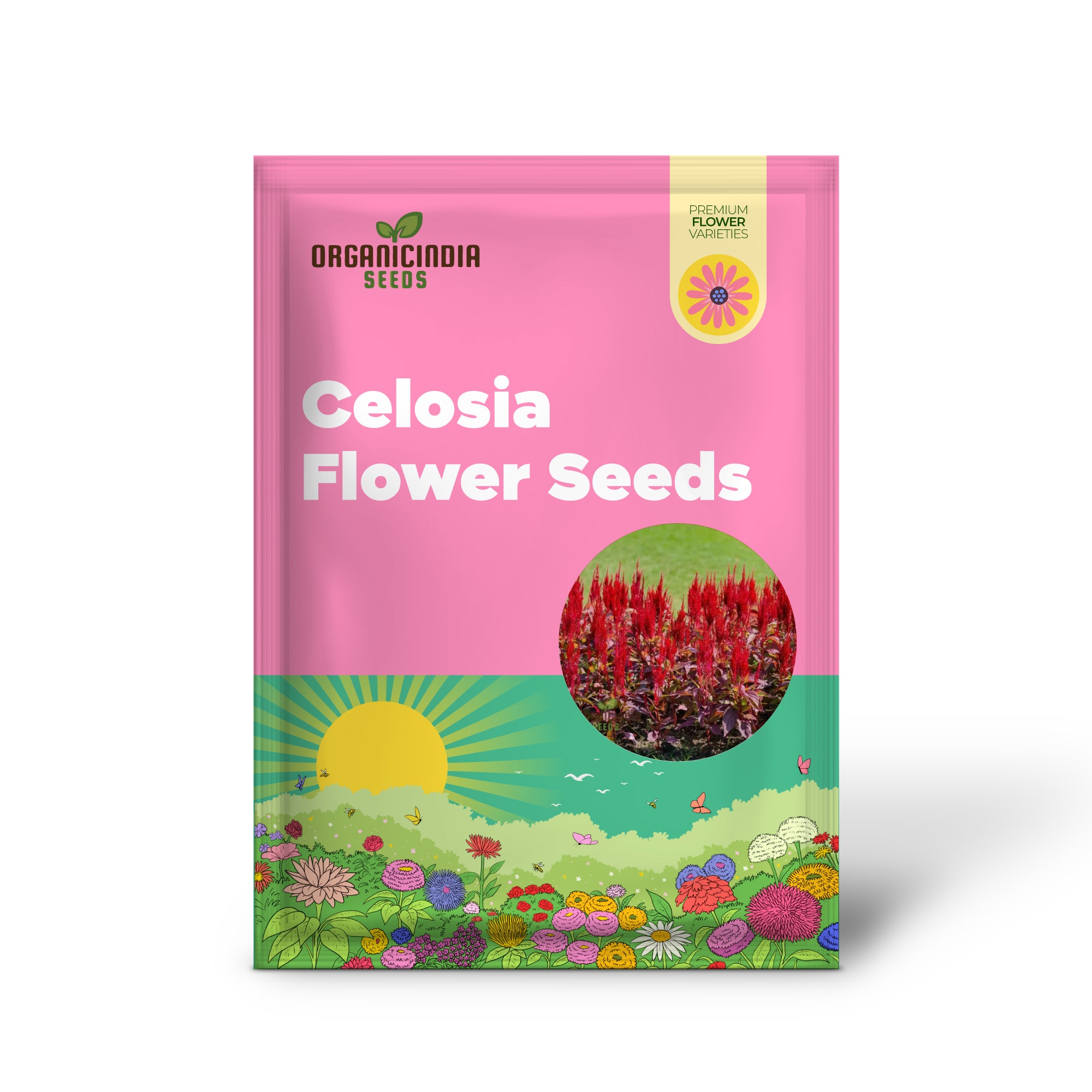 Celosia Red Fire Flower Seeds - Vibrant Blooms, Easy to Grow, Stunning Addition to Any Garden