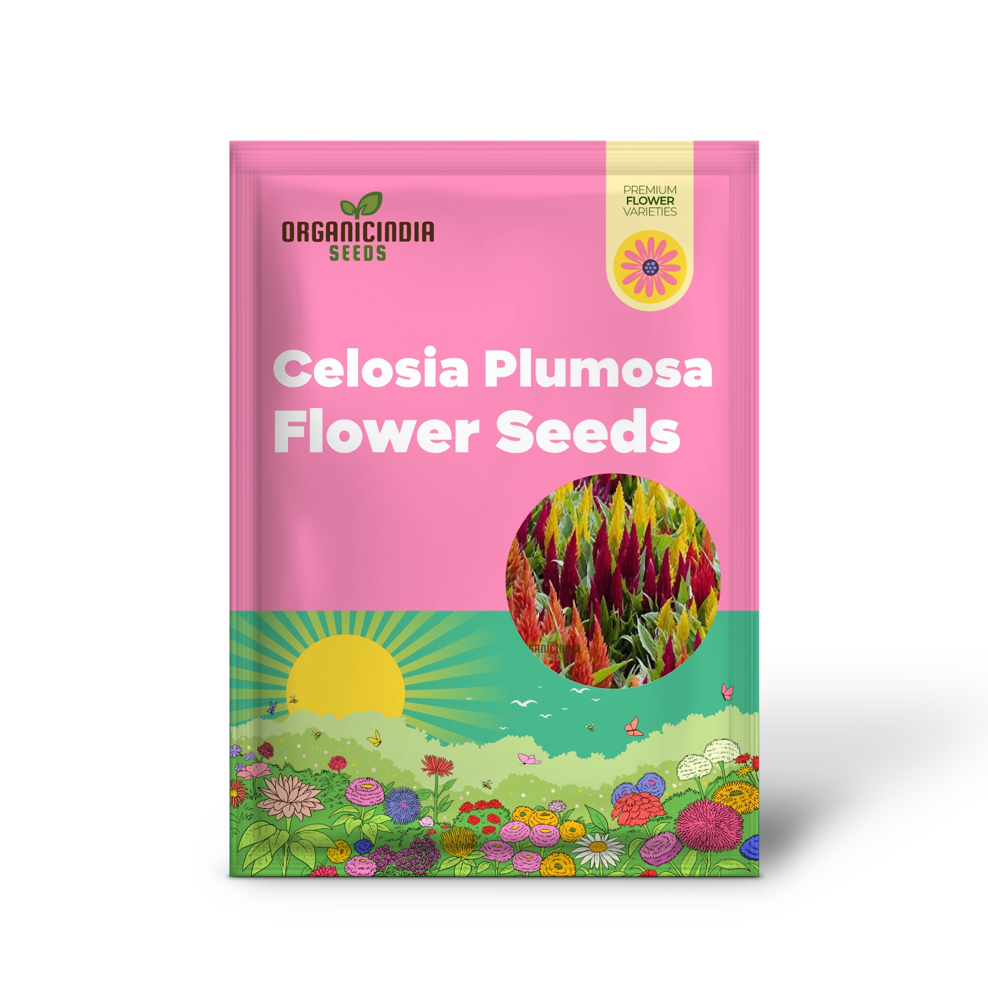 Celosia Plumosa Pampus Mixed Flower Seeds,  Vibrant Colors, Long-Lasting Blooms, Ideal for Gardening