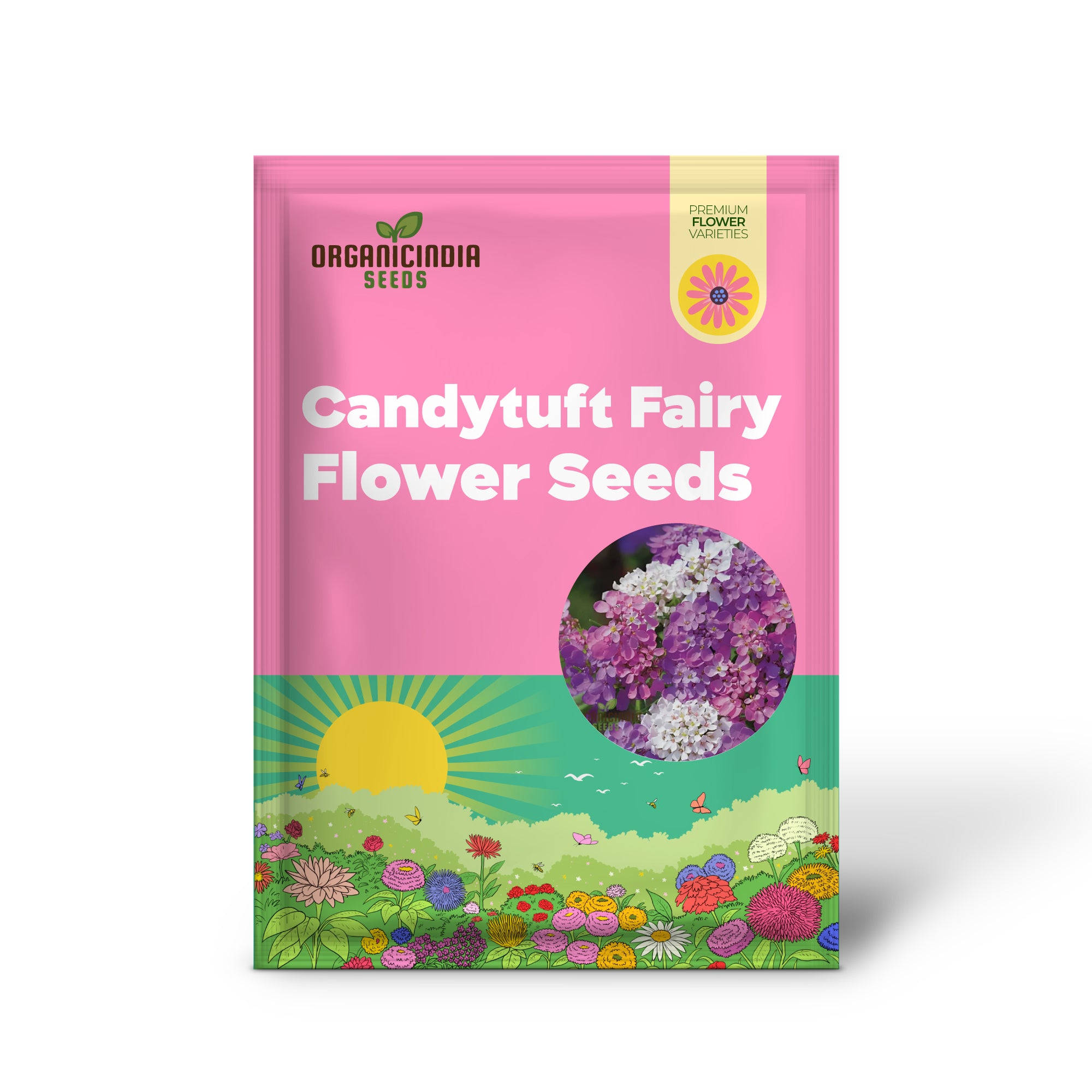 Candytuft Fairy Mixed Flower Seeds - Ideal for Vibrant Flower Beds for Gardening & Planting