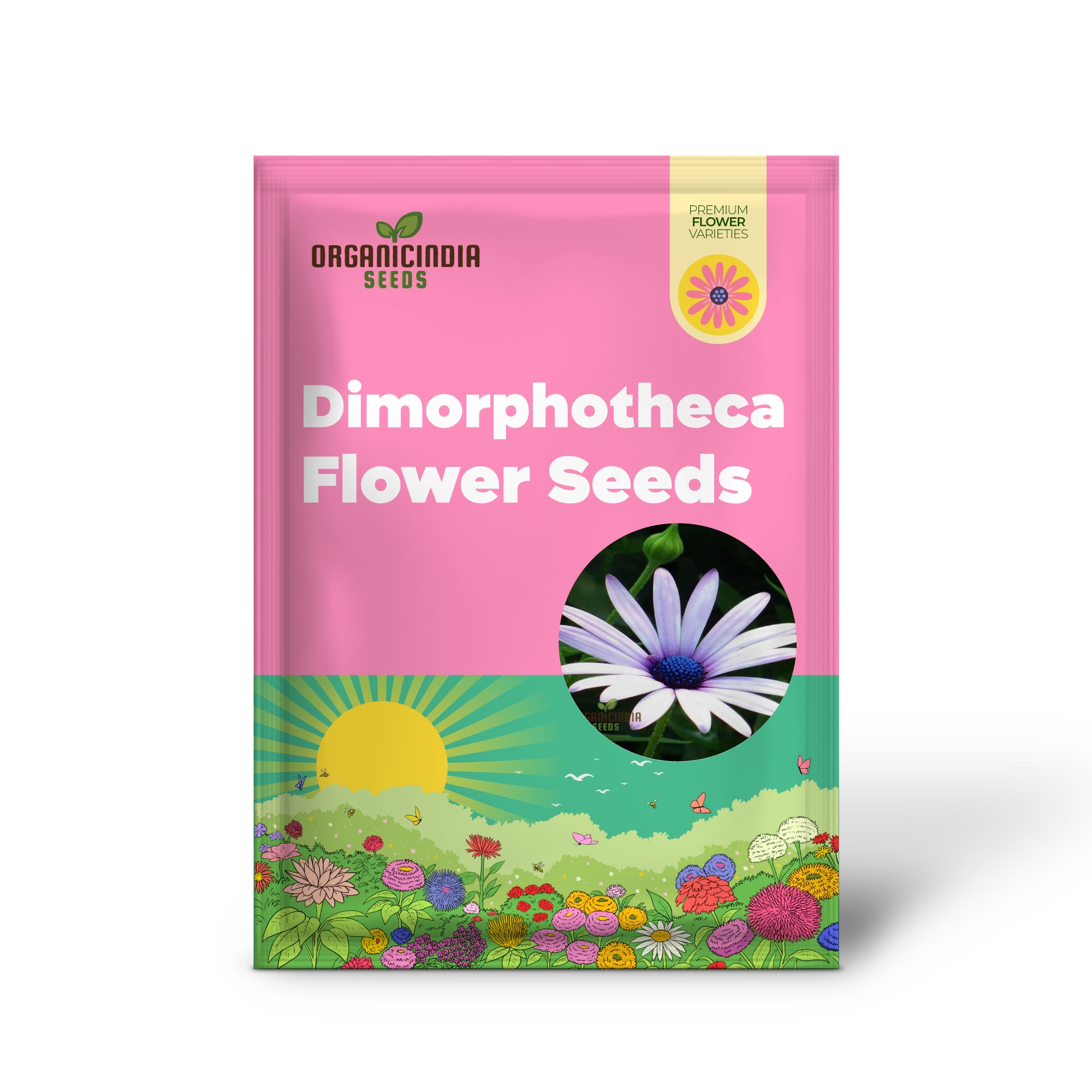 Dimorphotheca White Flower Seeds - Pure and Elegant Blooms for Serene Garden Settings