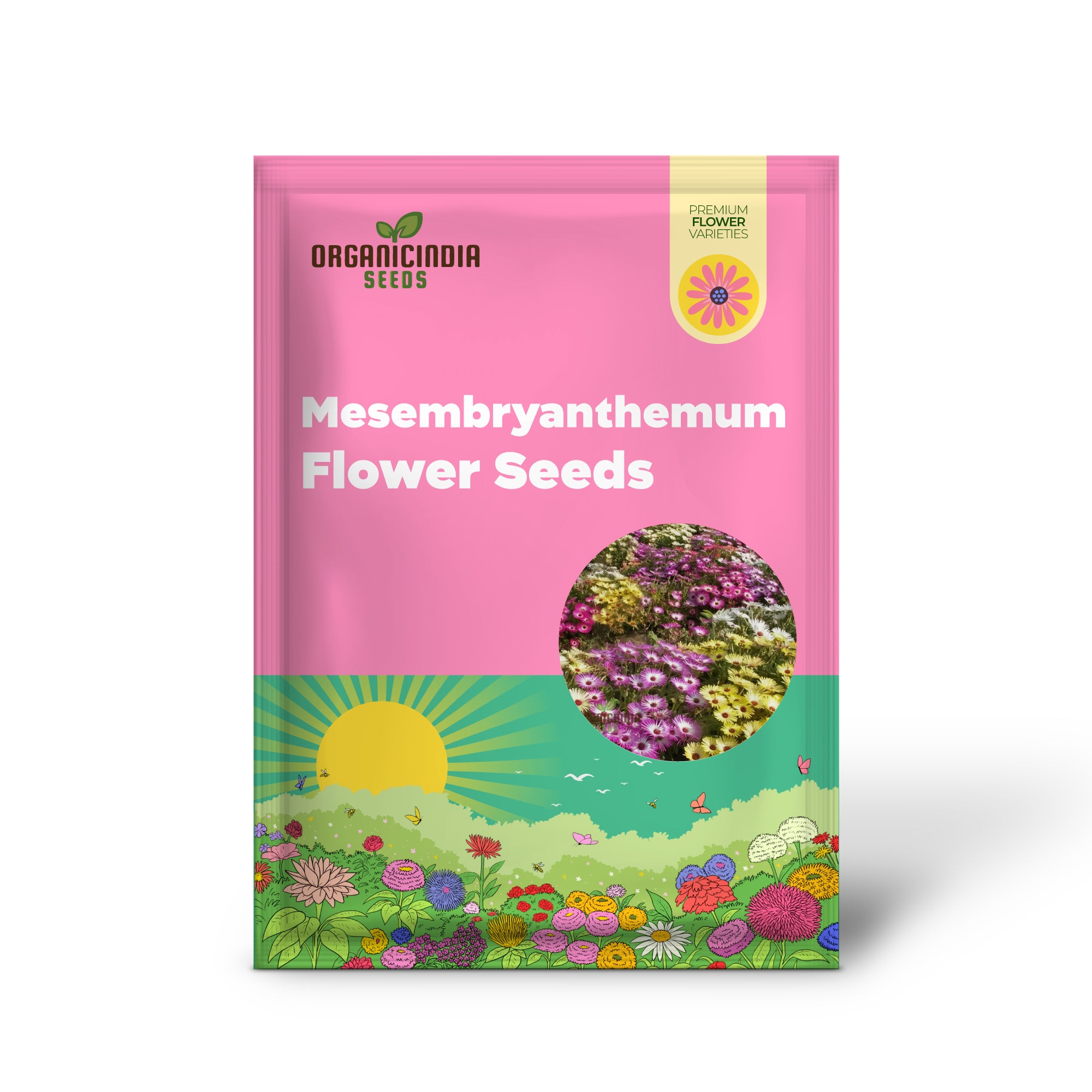 Mesembryanthemum Sparkles Mixed Flower Seeds - Dazzling Array of Colors for Vibrant Garden Displays