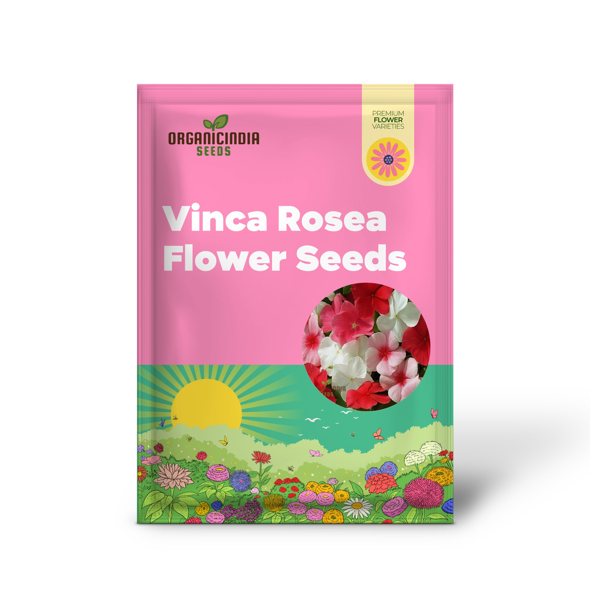 Vinca Rosea Mix Flower Seeds - Versatile and Vibrant Blooms for Garden Borders