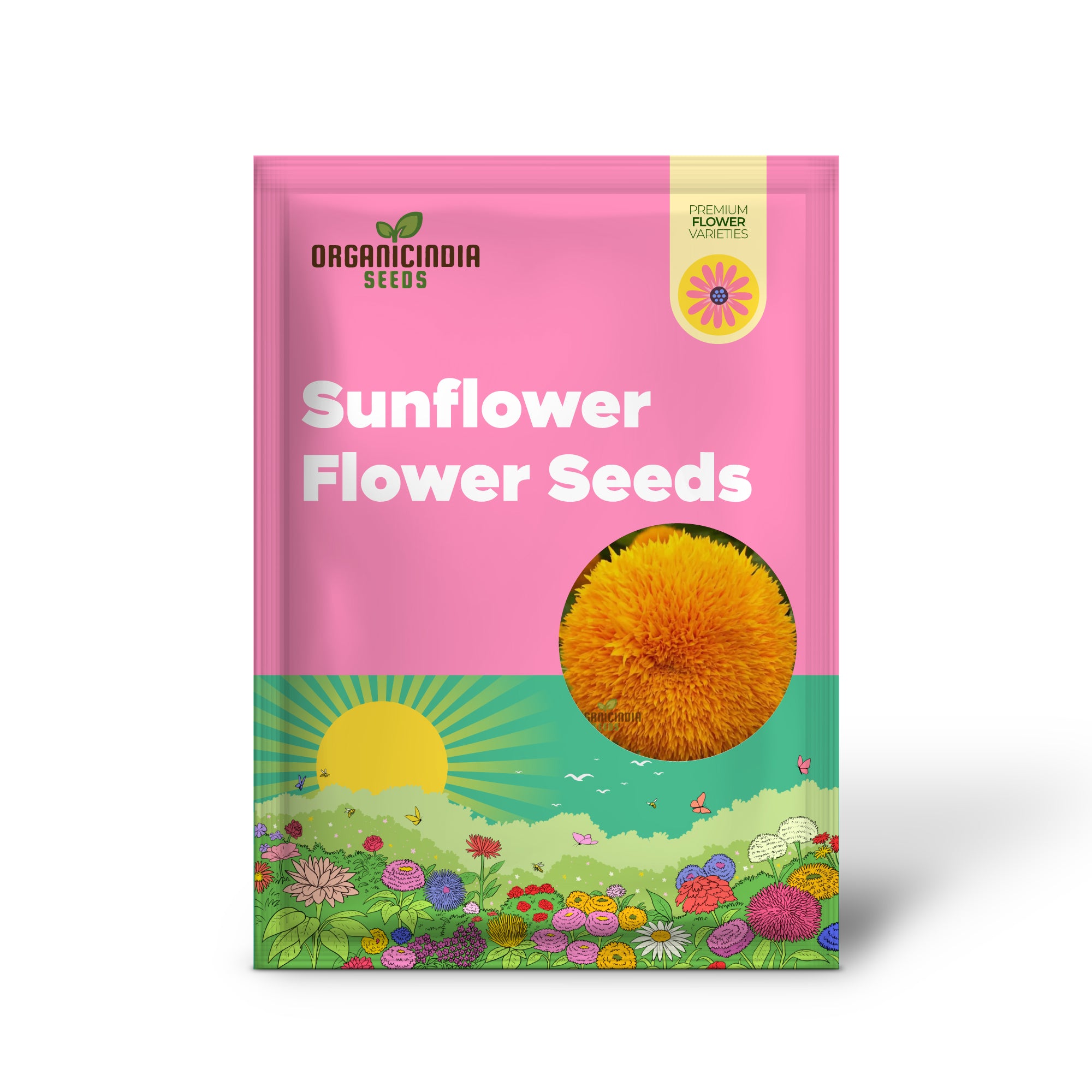 Graines de tournesol DBL Orange Flower, double floraison, couleur vive, parfaites pour les jardins