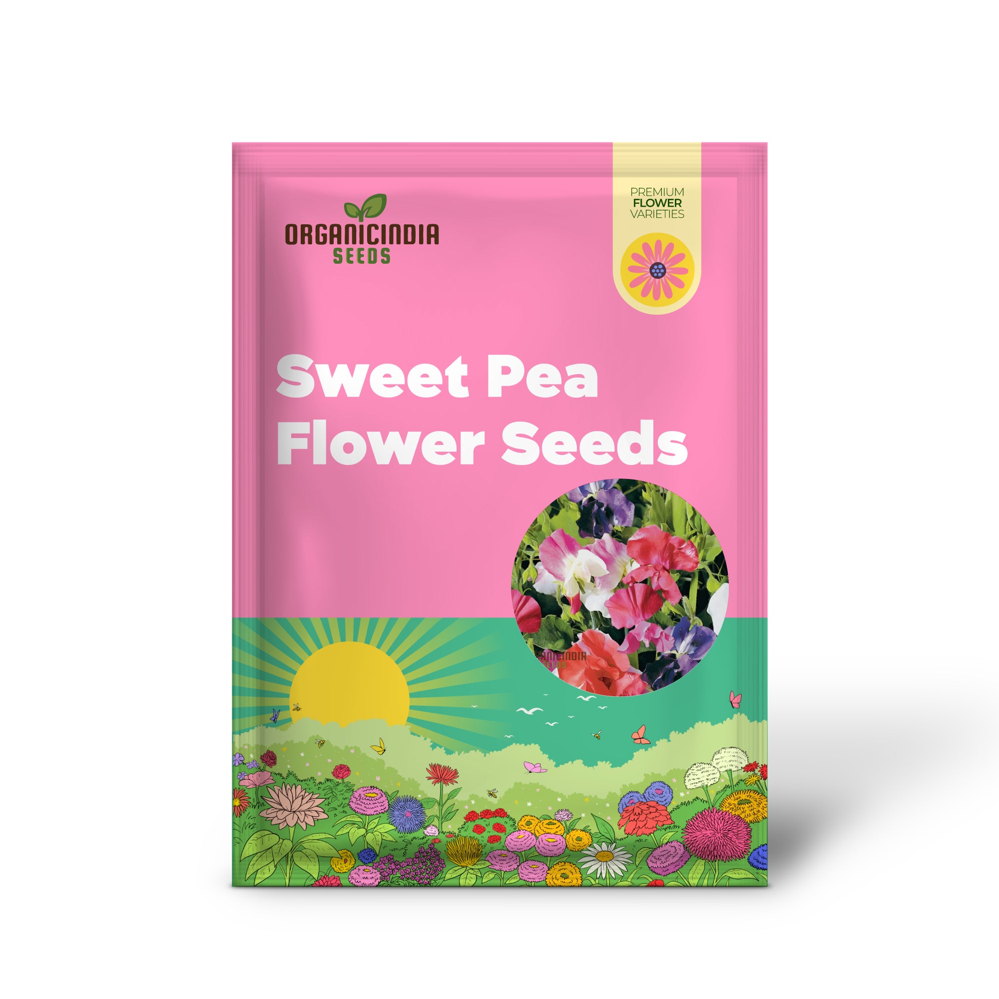 Sweet Pea Little Sweetheart Mix Flower Seeds - Delicate Blooms for Charming Garden Borders