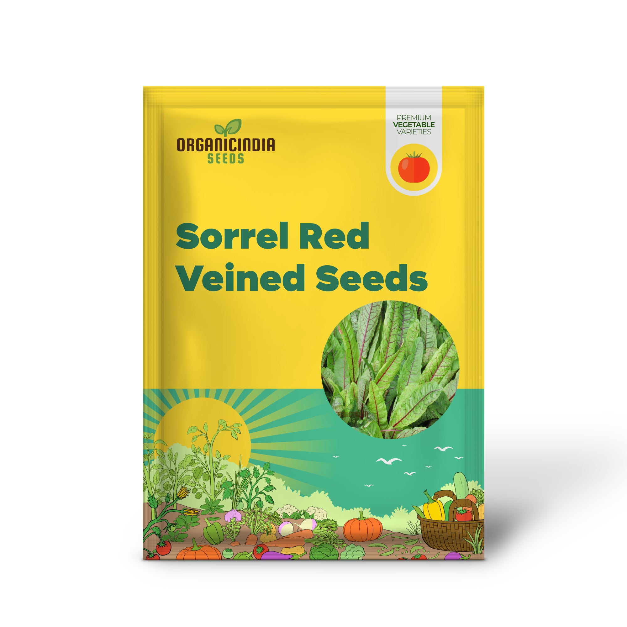 Sorrel Red Veined Vegetable Seeds, Heirloom Nutritious Ideal for Salads and Culinary Uses