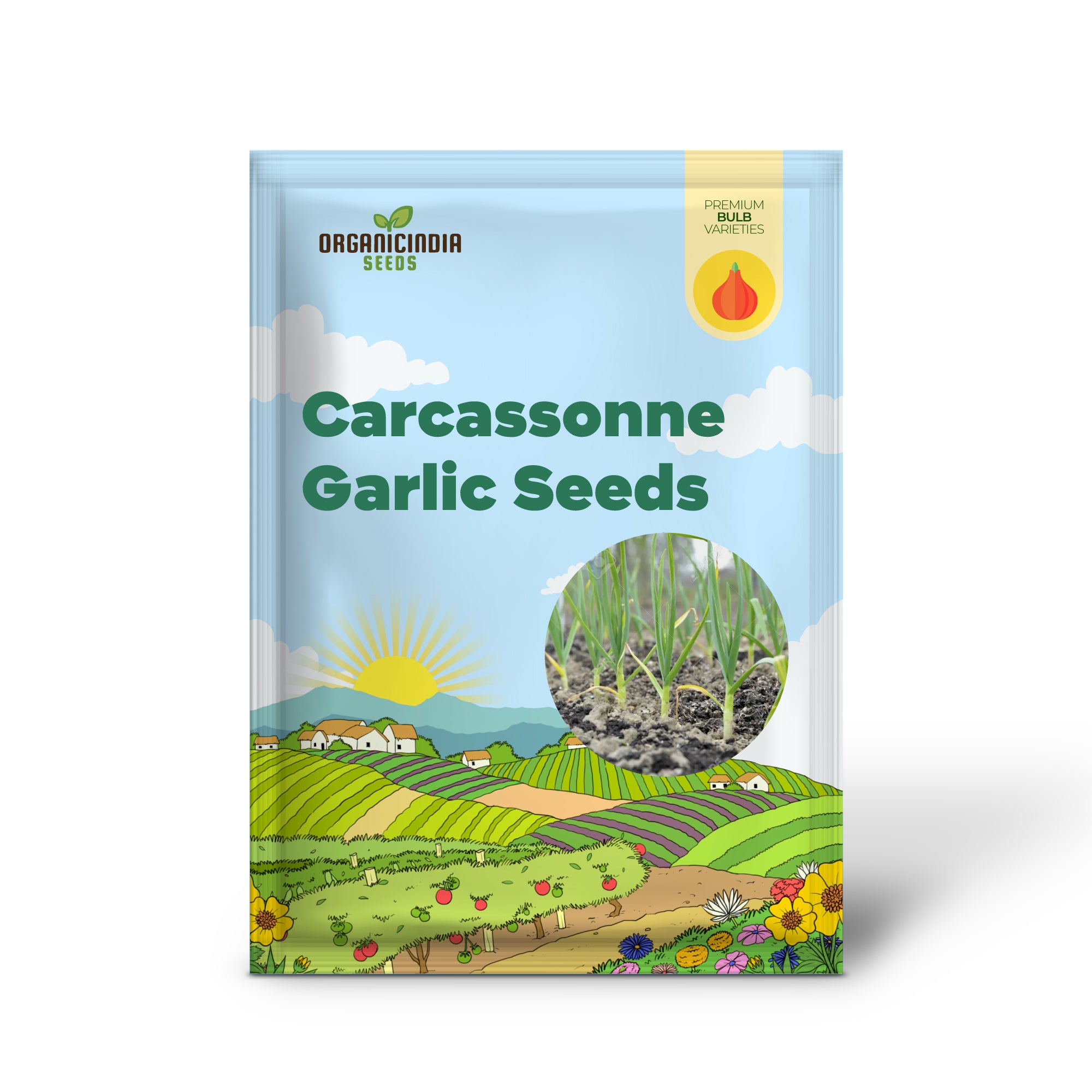 Graines d'ail de Carcassonne Wight, héritage de qualité supérieure pour une saveur exceptionnelle - 100 pcs