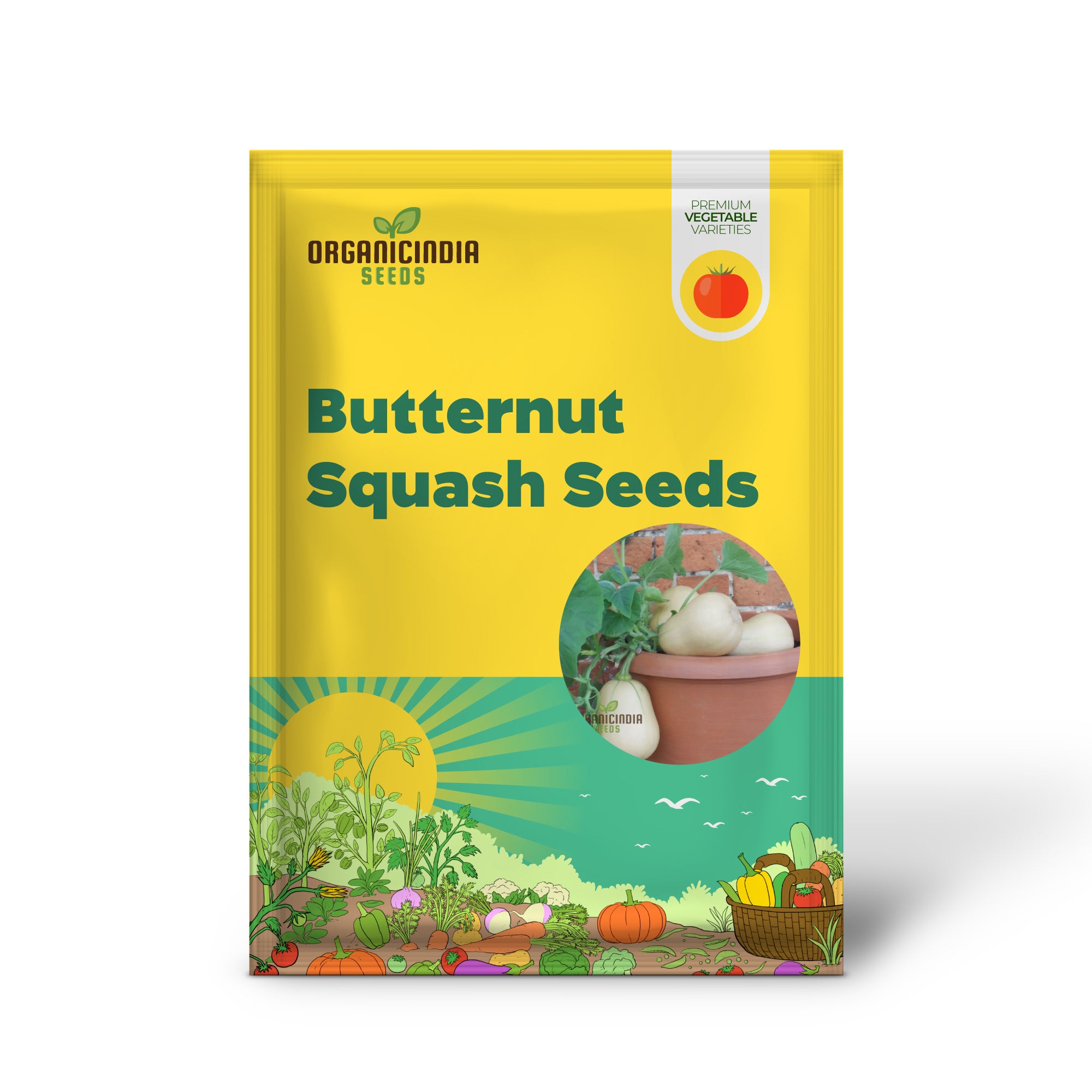 Butternut Squash Butterbush Seeds, Compact, High-Yield, Perfect for Small Gardens