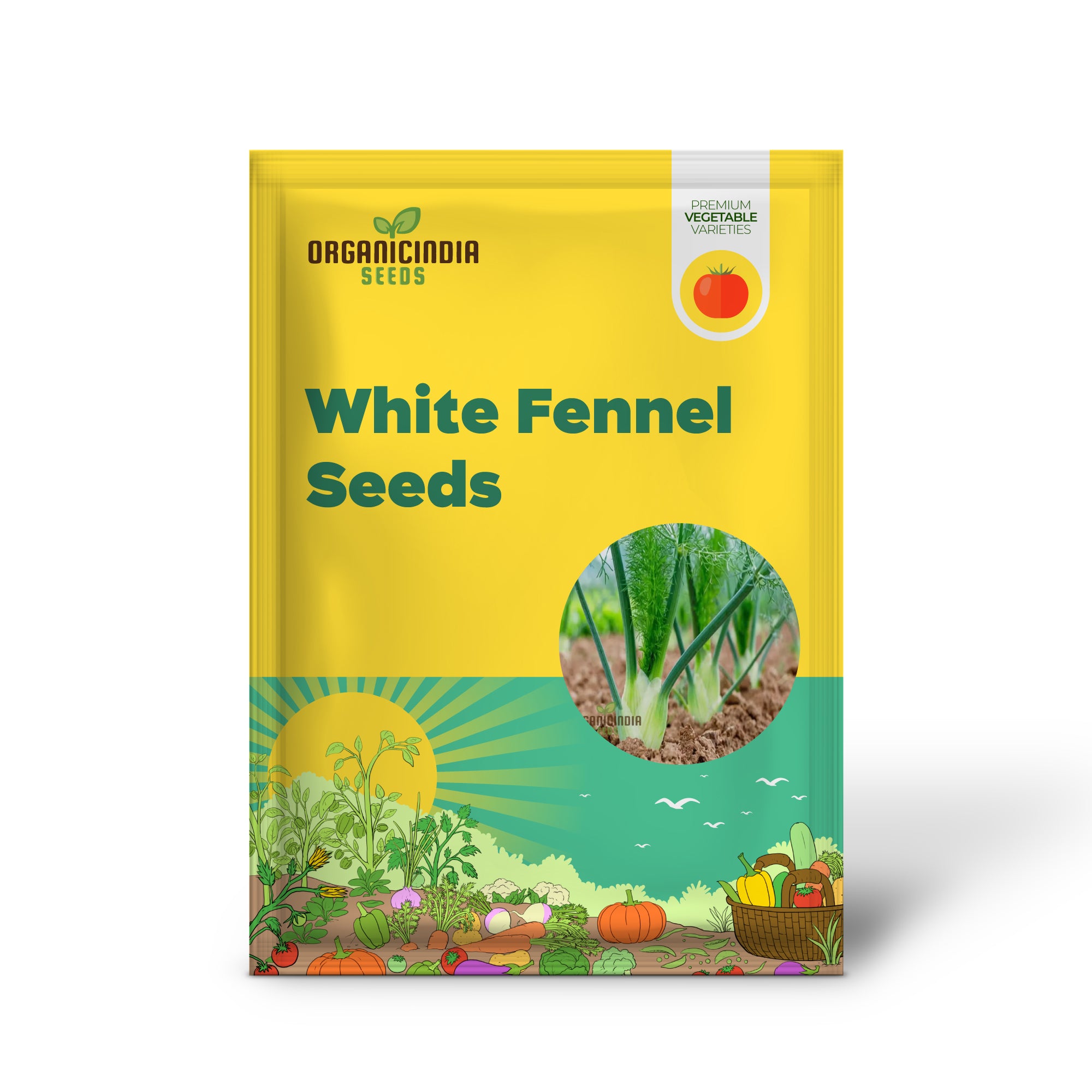 White Fennel Vegetable Seeds for Your Garden - Buy Fennel Seeds Online for Fresh, Flavorful Harvests