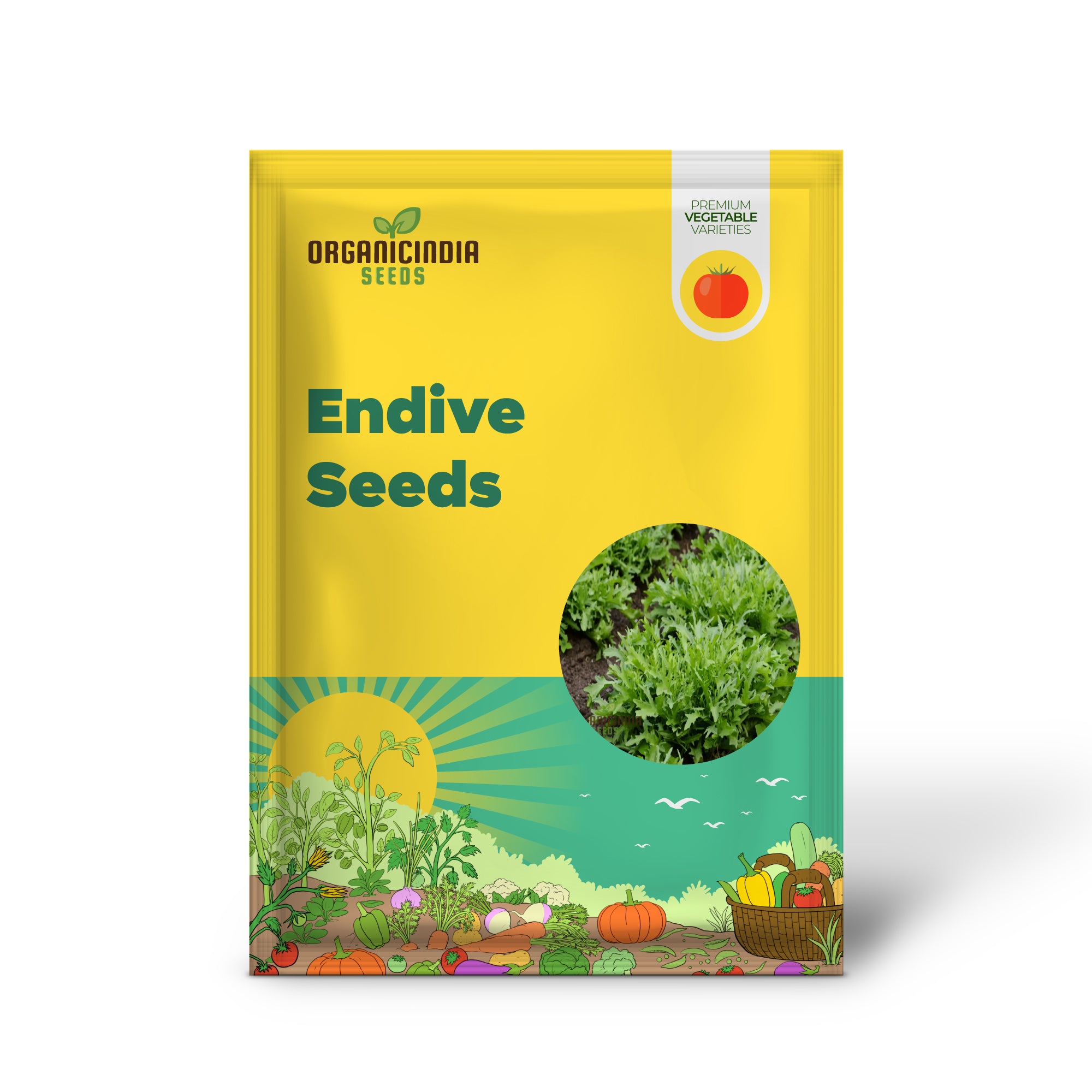 Endive White Vegetable Seeds for Successful Planting and Gardening