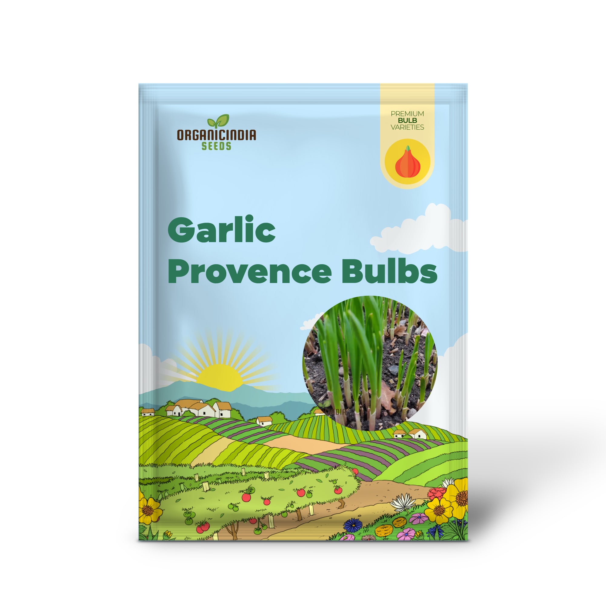 Bulbes d'ail de Provence pour la plantation et le jardinage, ail à haut rendement, robuste et aromatique pour les jardins familiaux - Parfait pour les délices culinaires et les récoltes savoureuses