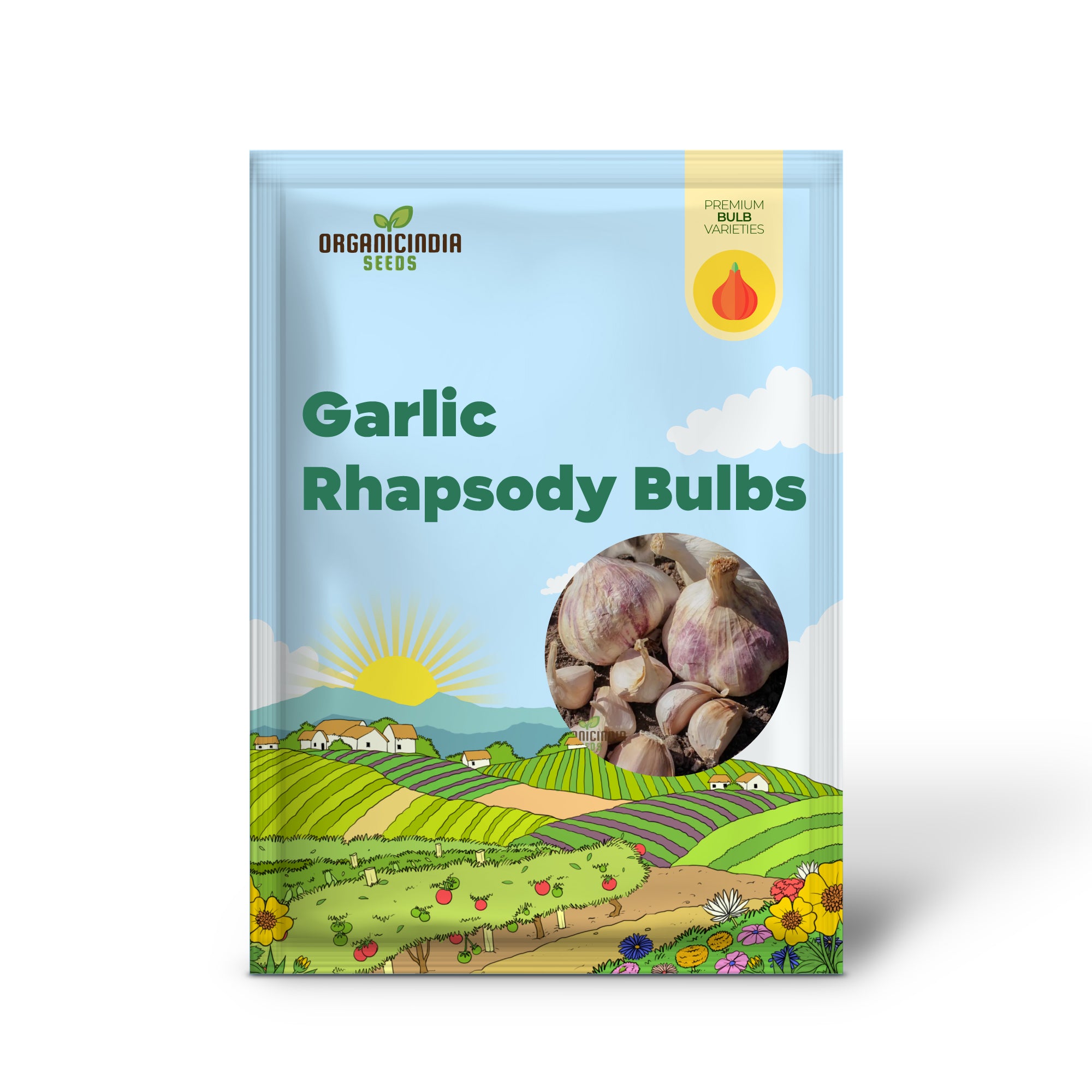 Bulbes d'ail de qualité supérieure GARLIC RHAPSODY pour la plantation et le jardinage - Idéal pour des créations culinaires savoureuses et des récoltes saines