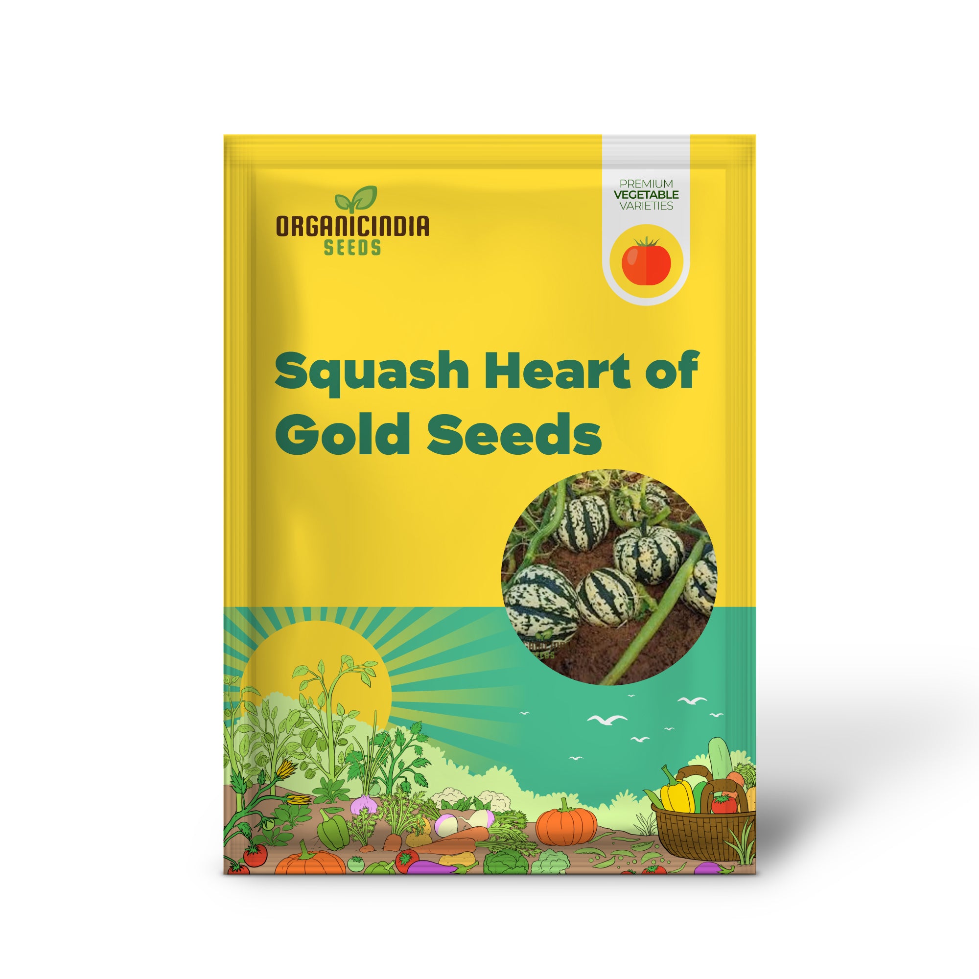 Winter Squash Heart of Gold vegetable Seeds, Heirloom Varieties for Home Gardening