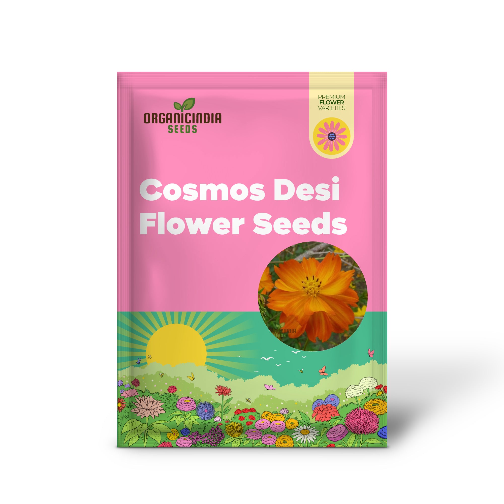 Cosmos Orange Desi Flower Seeds - Bright and Cheerful Blooms for Your Garden