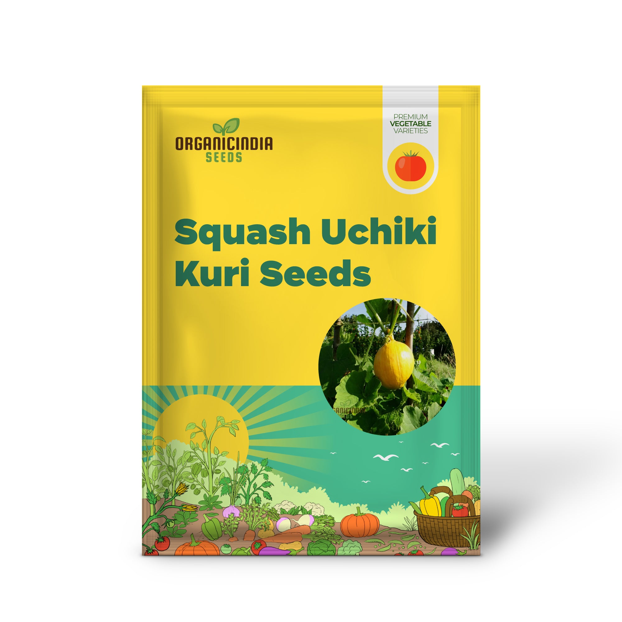 Graines de légumes de courge Uchiki Kuri, saveur de noisette, croissance compacte, parfaites pour les jardins familiaux