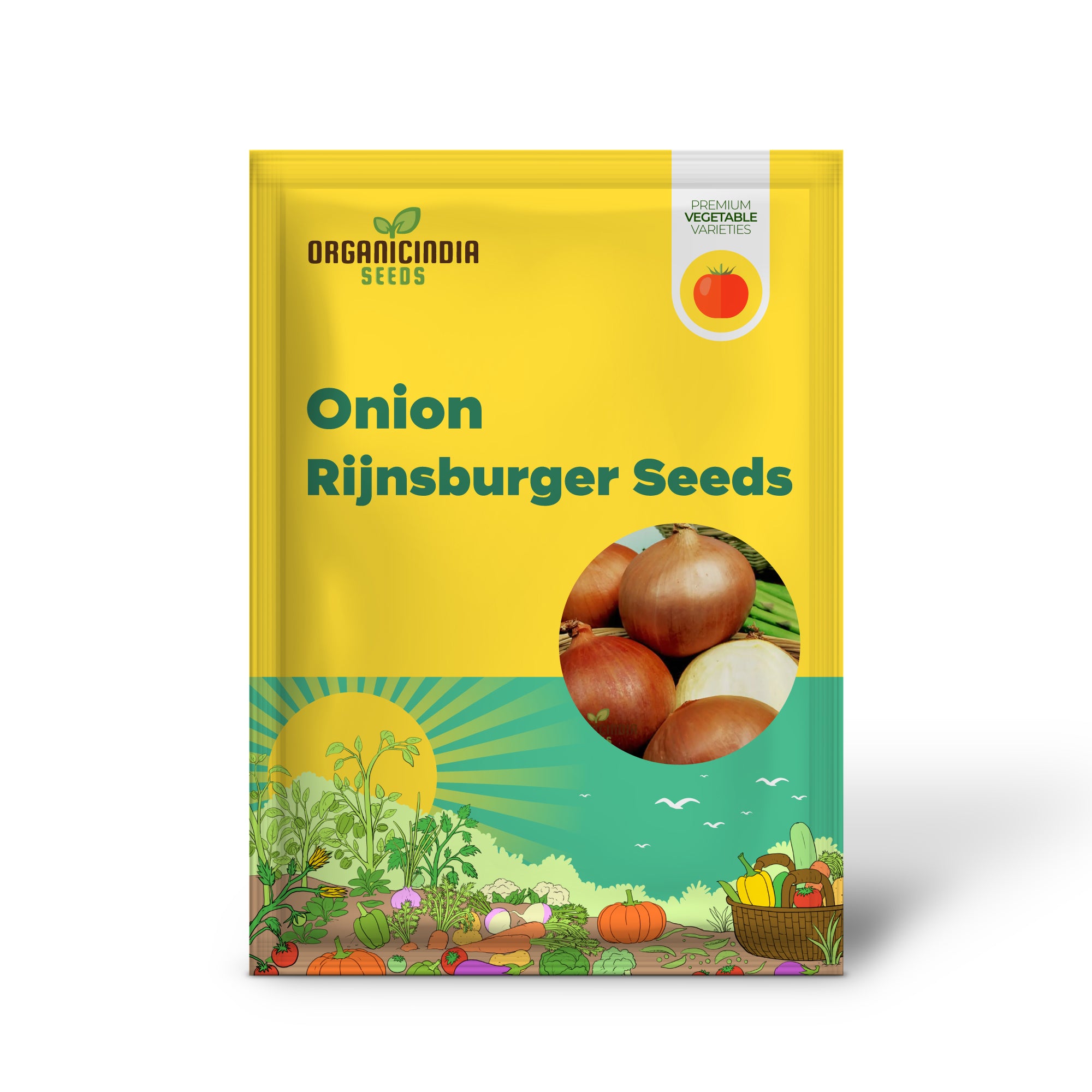 Onion Rijnsburger Seeds â€“ Elevate Your Gardening with Robust, High-Yielding Onions!