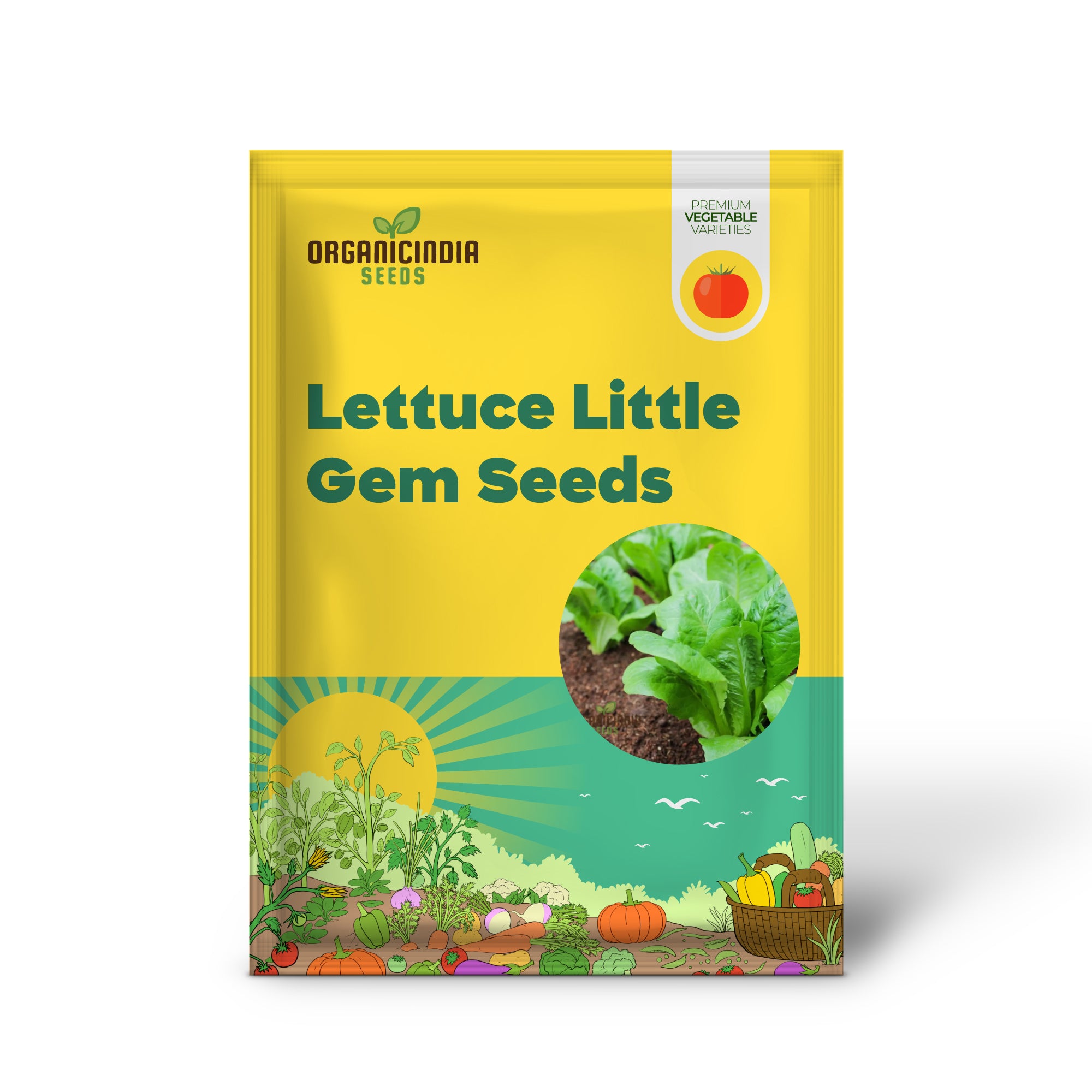 Lettuce Little Gem Seeds for Gardening – High-Yield Non-GMO Seeds for Your Garden