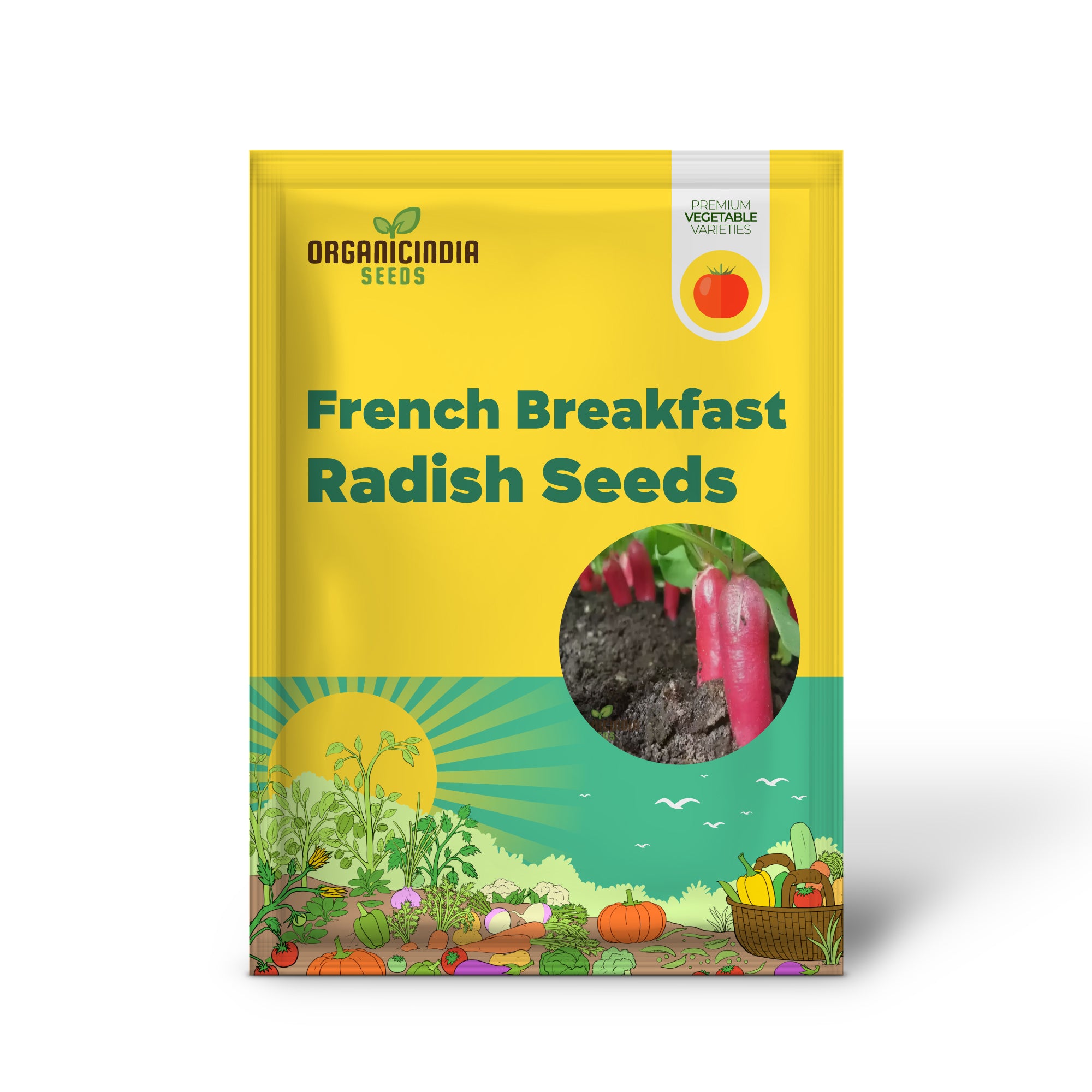 Graines de radis pour petit-déjeuner français - Cultivez vos propres radis croquants et savoureux