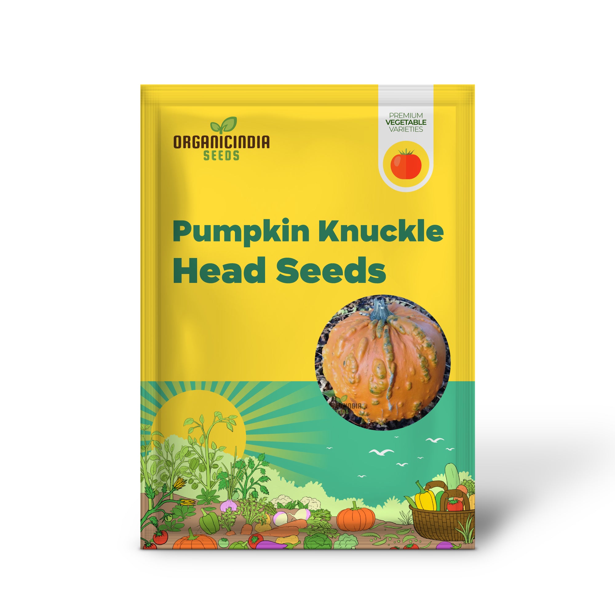 Pumpkin Knuckle Head Seeds for Planting