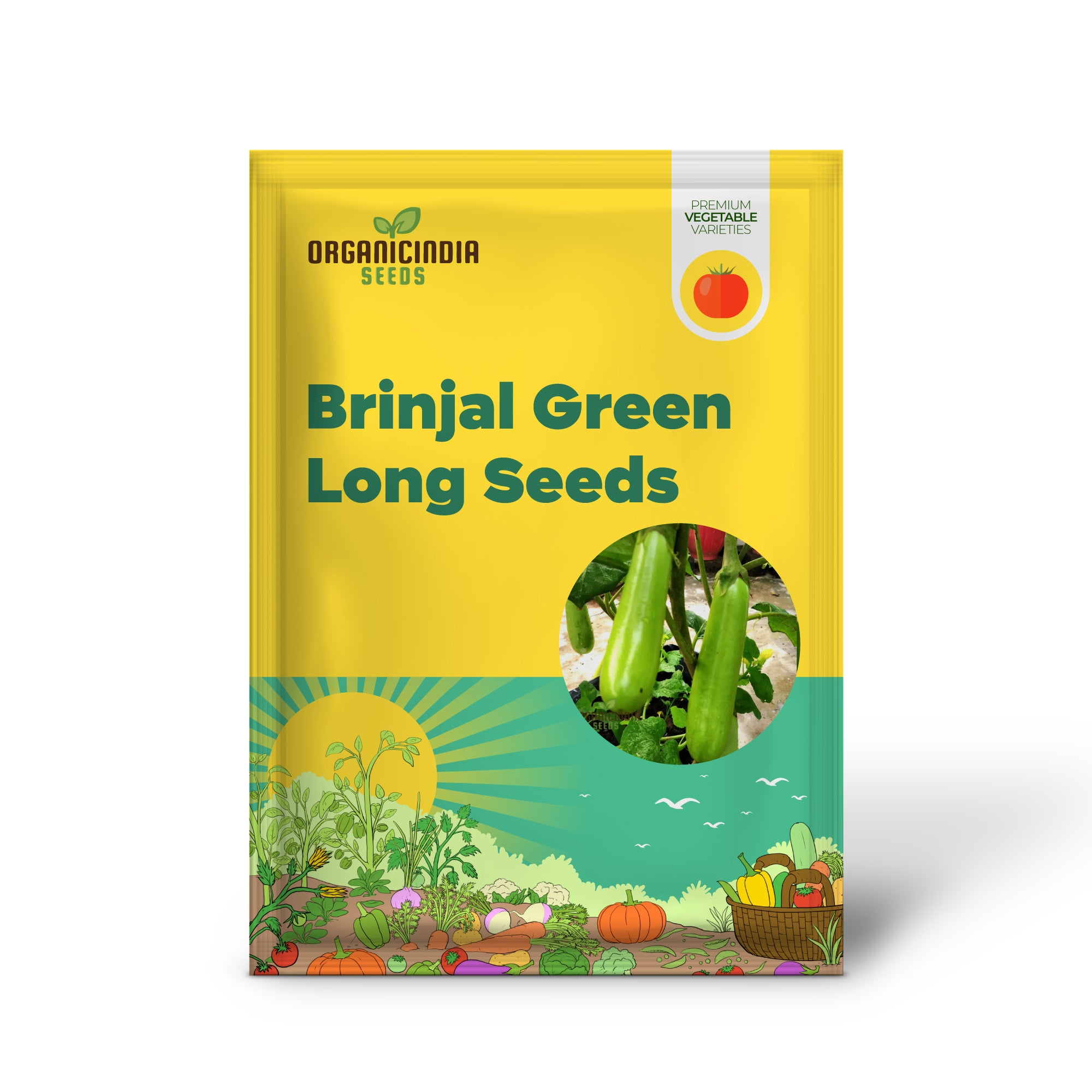 Brinjal Green Long Vegetable Seeds, Comprehensive Planting and Gardening Guide for Producing Abundant and Flavorful Harvests