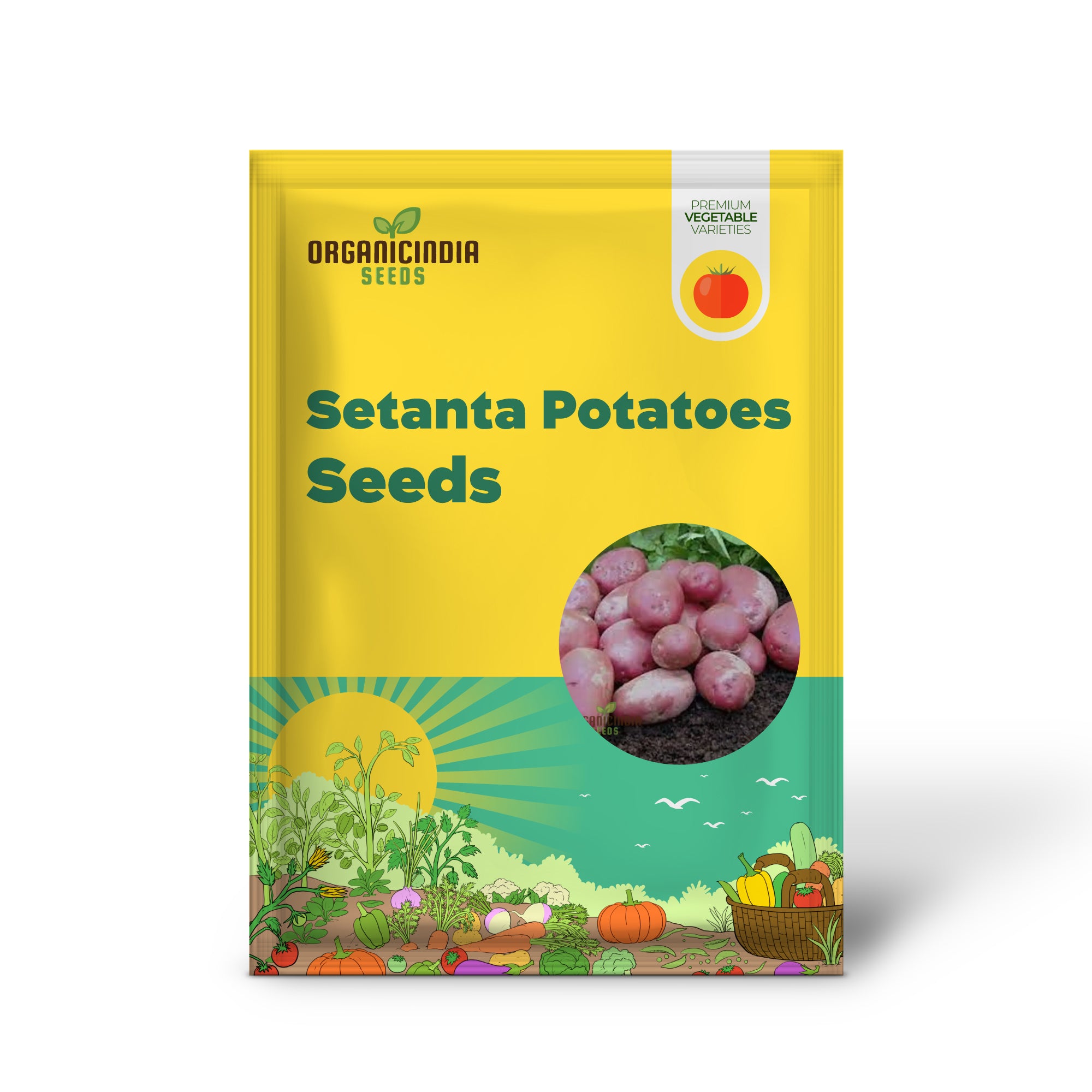 Setanta Potatoes Vegetable Seed Disease Resistant Irish Heirloom Potato Seeds for Home Gardening, High Yield, Ready to Planting