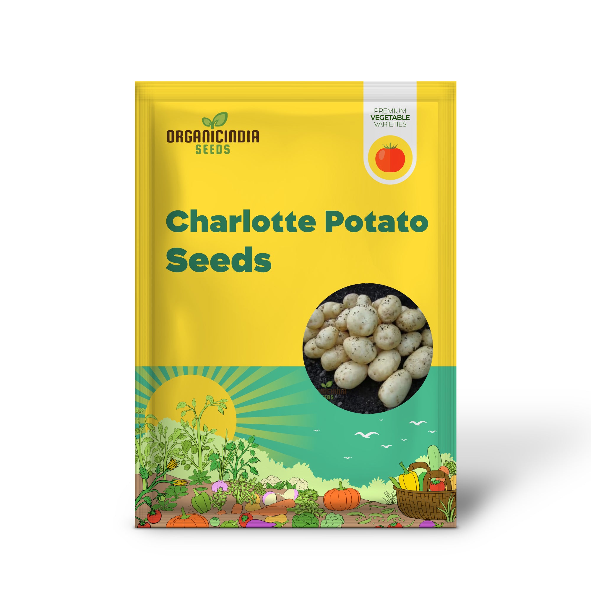 Graines de légumes Charlotte Potato, variété française Fingerling Heirloom pour les jardiniers amateurs