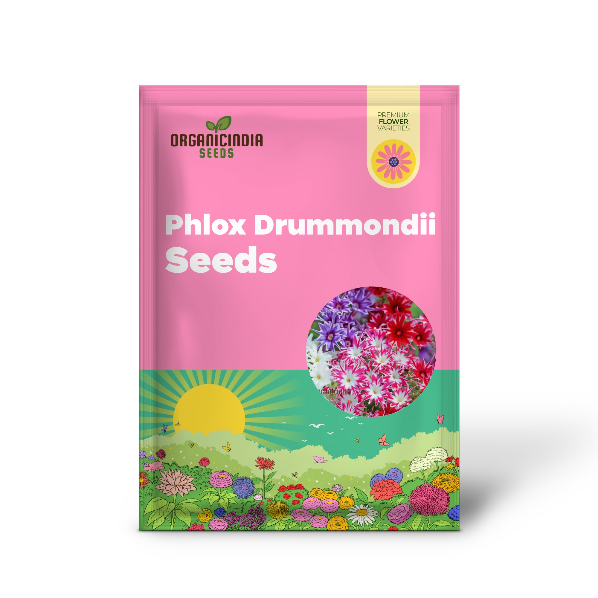 Phlox Drummondii Twinkle Mixed Flower Seeds, Comprehensive Planting and Gardening Guide for Vibrant, Starry Blooms