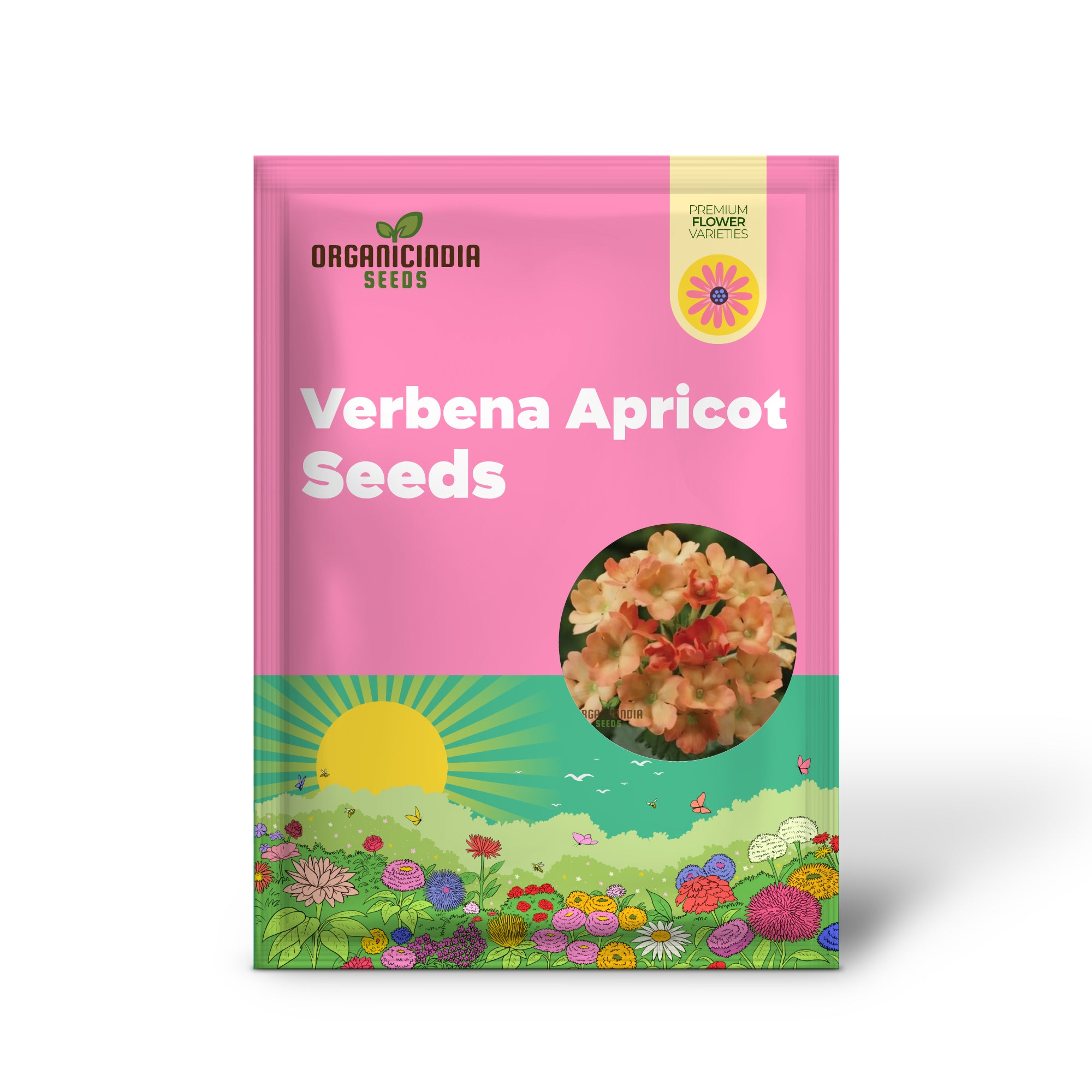 Verbena Apricot Flower Seeds - Grow Delightful Apricot-Colored Blooms in Your Garden