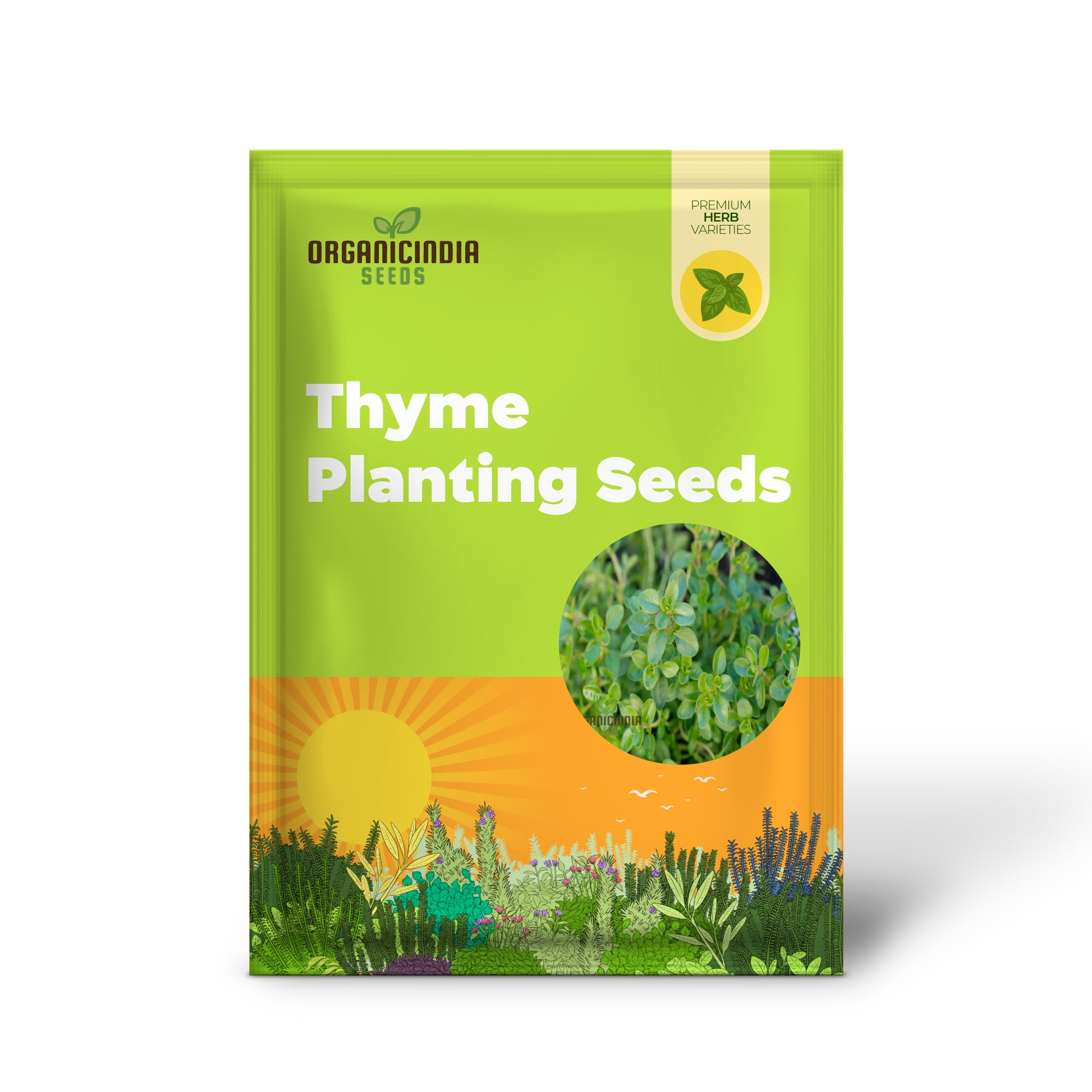 Thyme Planting Seeds, Comprehensive Planting and Gardening Guide for Cultivating a Versatile and Aromatic Kitchen Planting Seeds