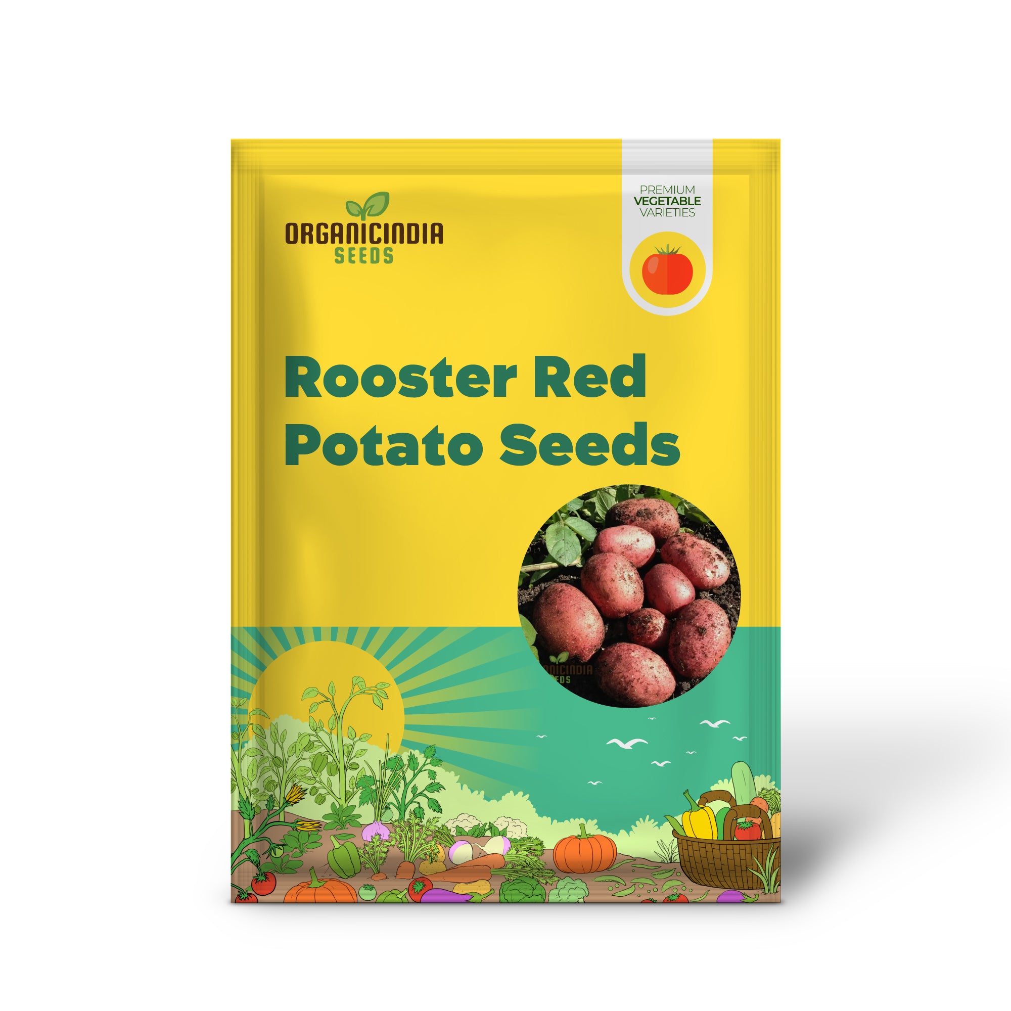 Rooster Red Potato Vegetable Seeds, Cultivate Delicious and Vibrant Additions to Your Garden with Expert Tips on Growing