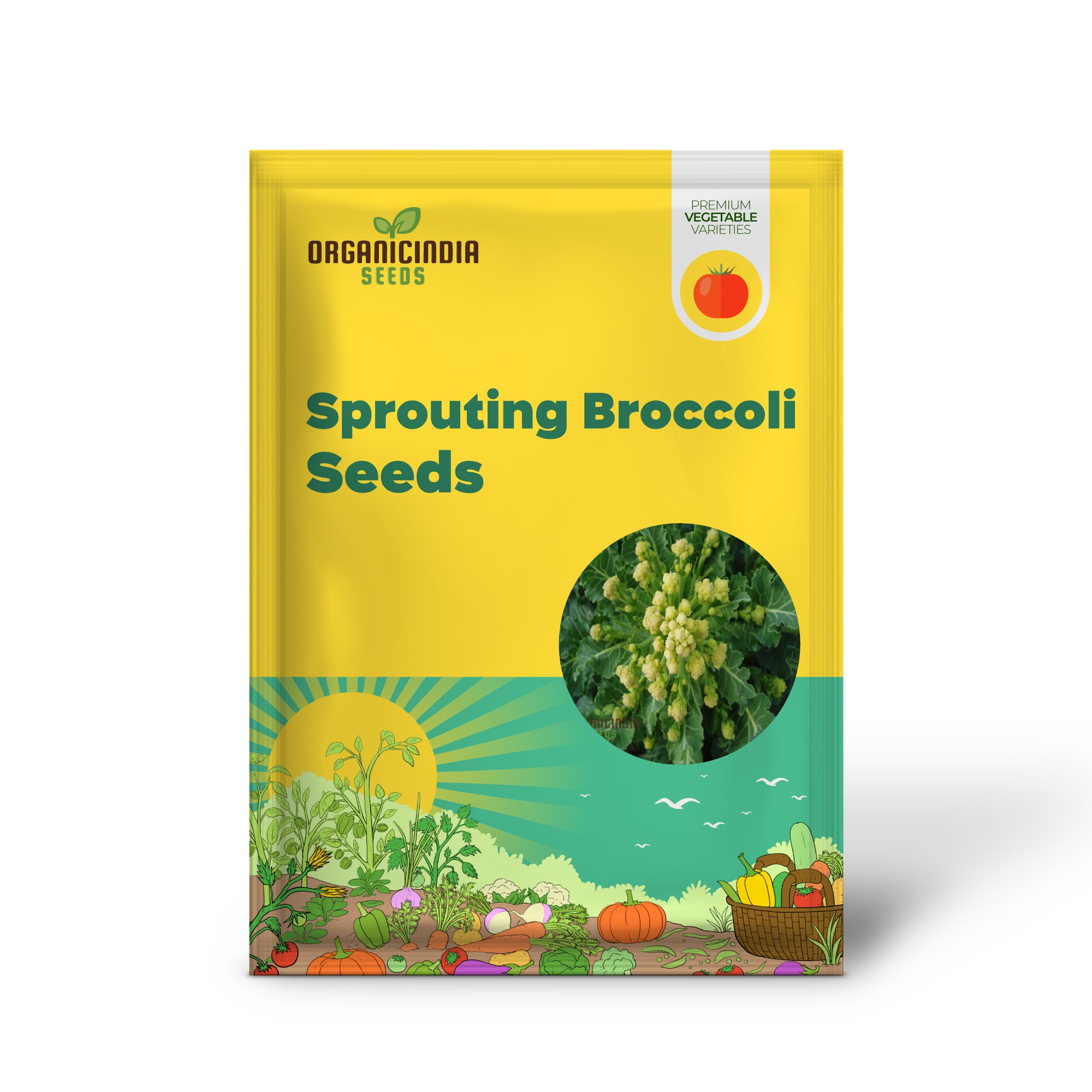 White Sprouting Broccoli from Seeds, Comprehensive Planting and Gardening Guide for Cultivating Healthy and Flavorful Garden Greens