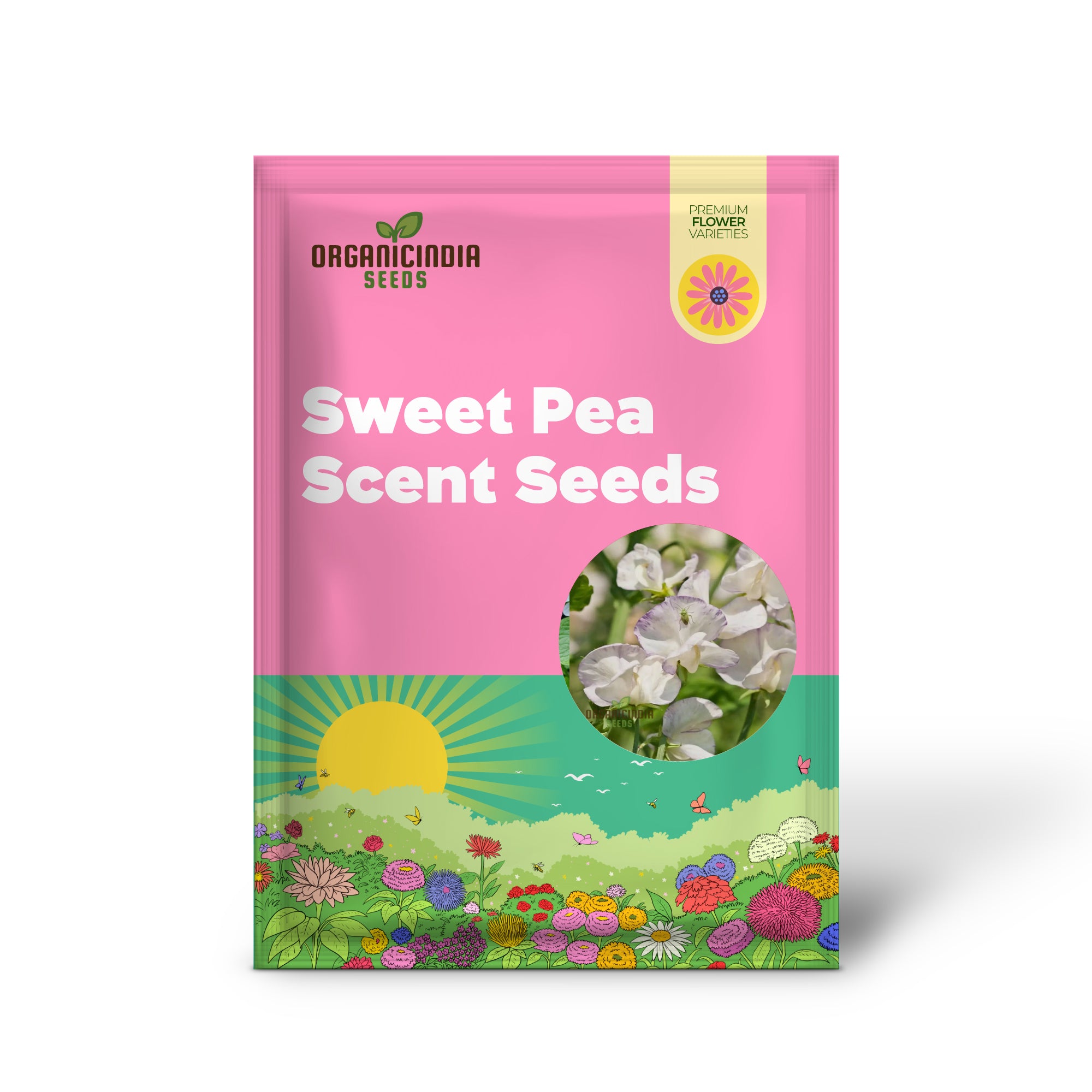 Sweet Pea High Scent Seeds - White , Transform Your Gardening Experience with Fragrant, Delicate Blooms!