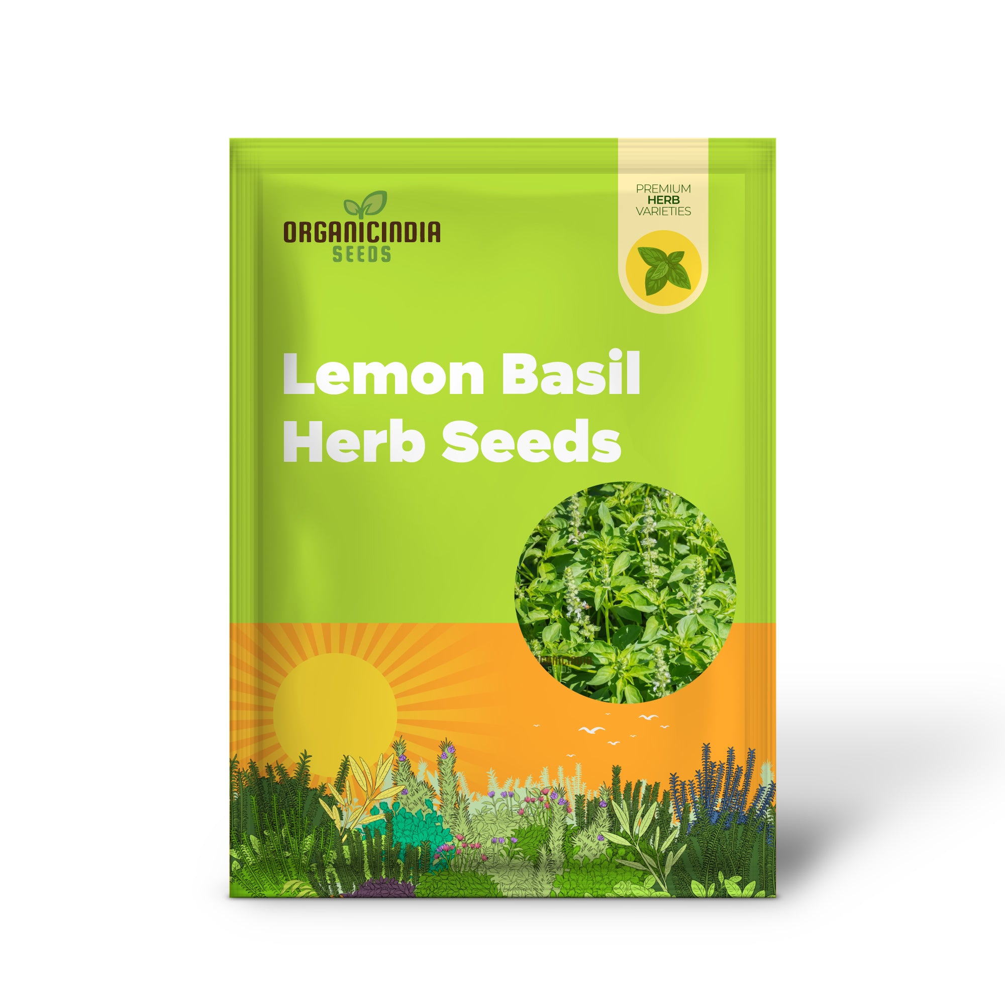 Lemon Basil Herb Seeds, Aromatic Heirloom Basil for Garden and Culinary Easy to Grow