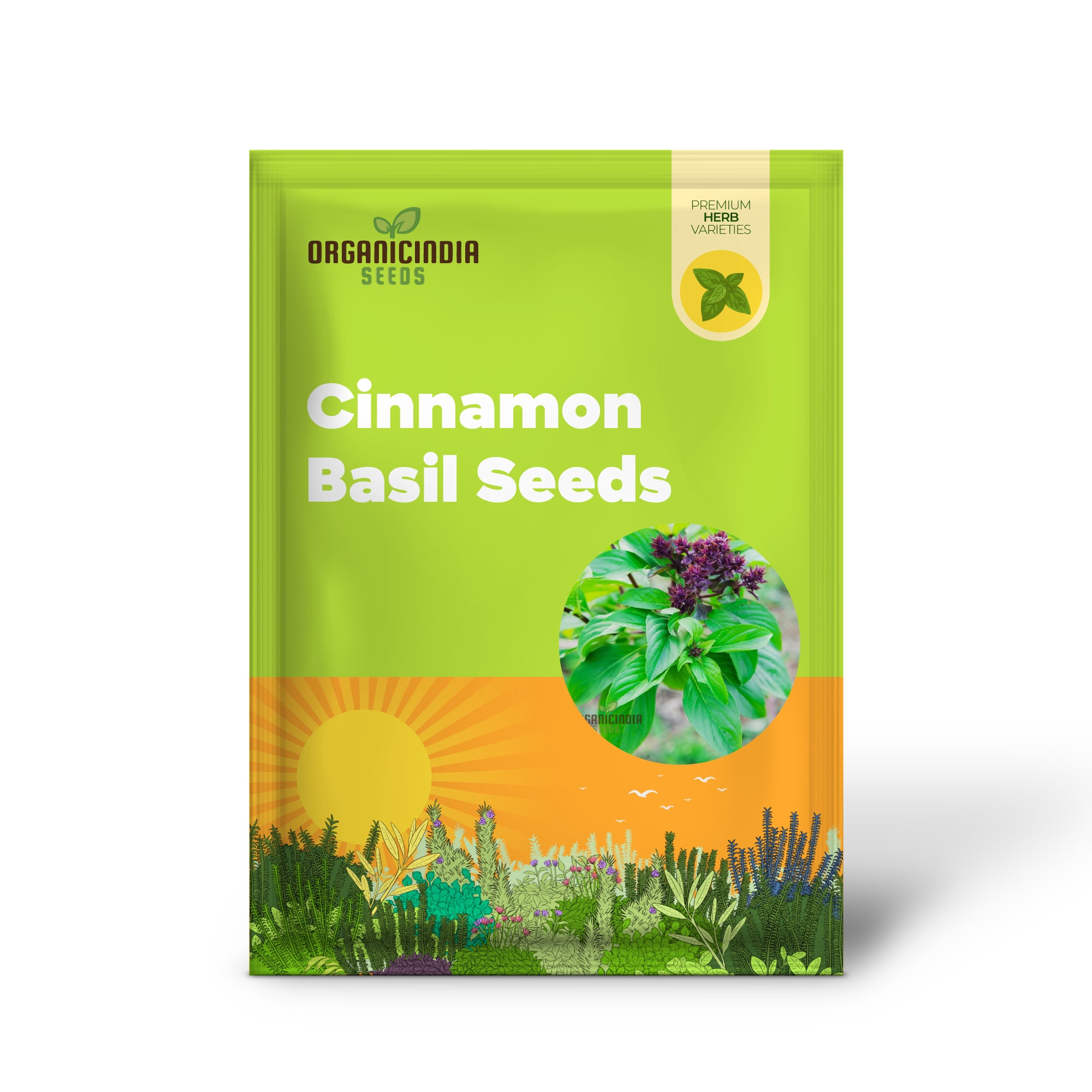 Cinnamon Basil Seeds, Aromatic Herb Seeds for Garden Planting, Non-GMO Culinary Herbs