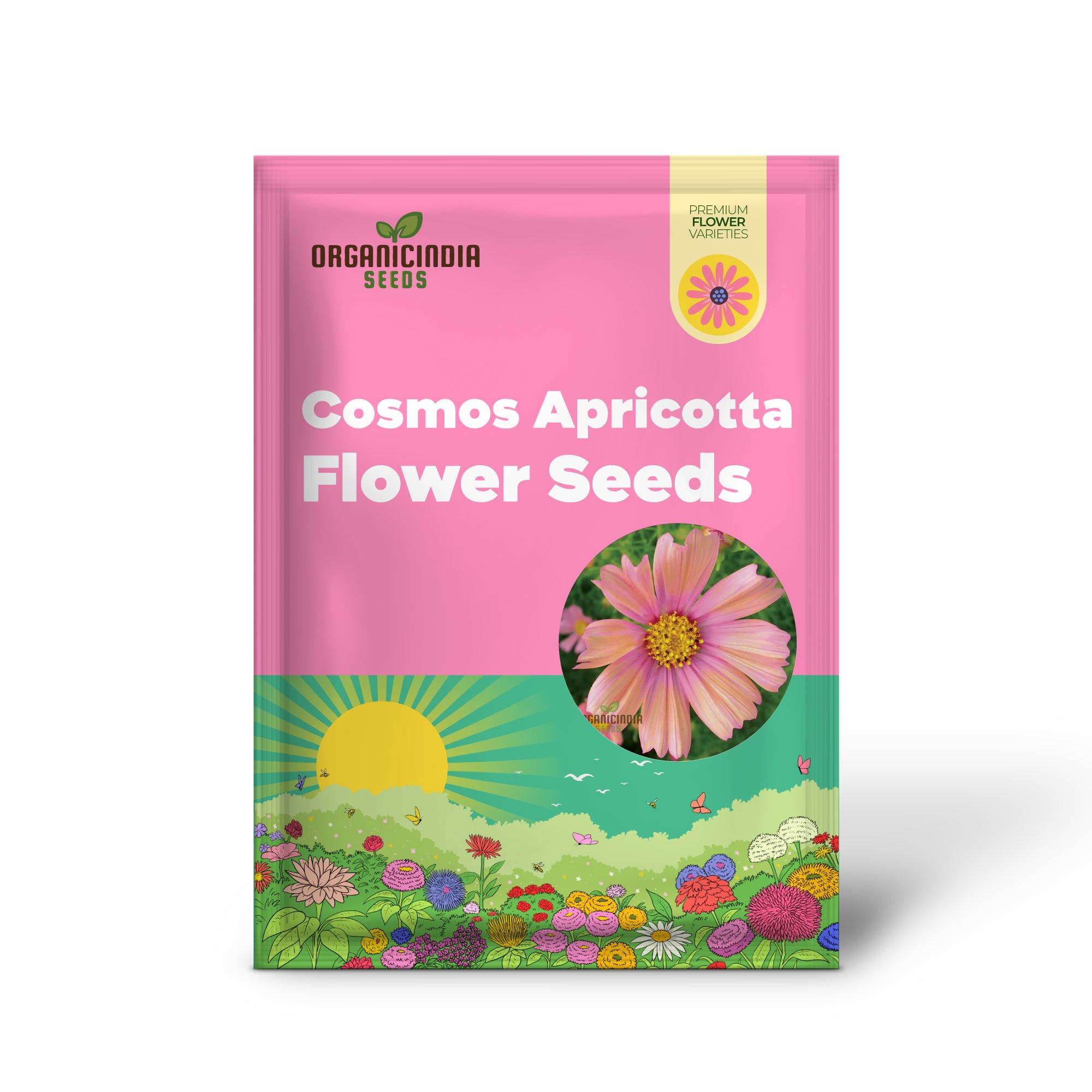 COSMOS APRICOTTA Flower Seeds For Planting| Long-Lasting Blooms, Easy Care, and Captivating Beauty