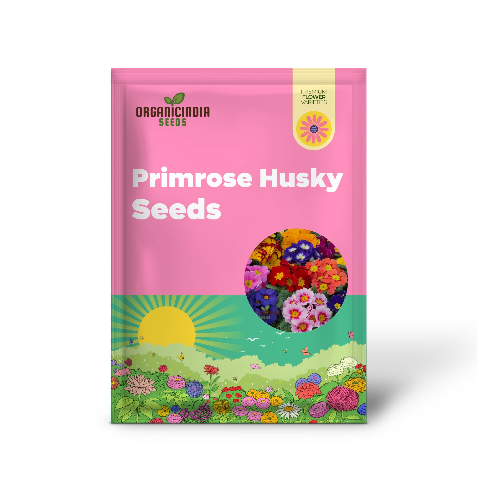 PRIMROSE HUSKY MIXED Seeds for Gardening Enthusiasts | Beautifully Cultivated Varieties for Your Flower Bed