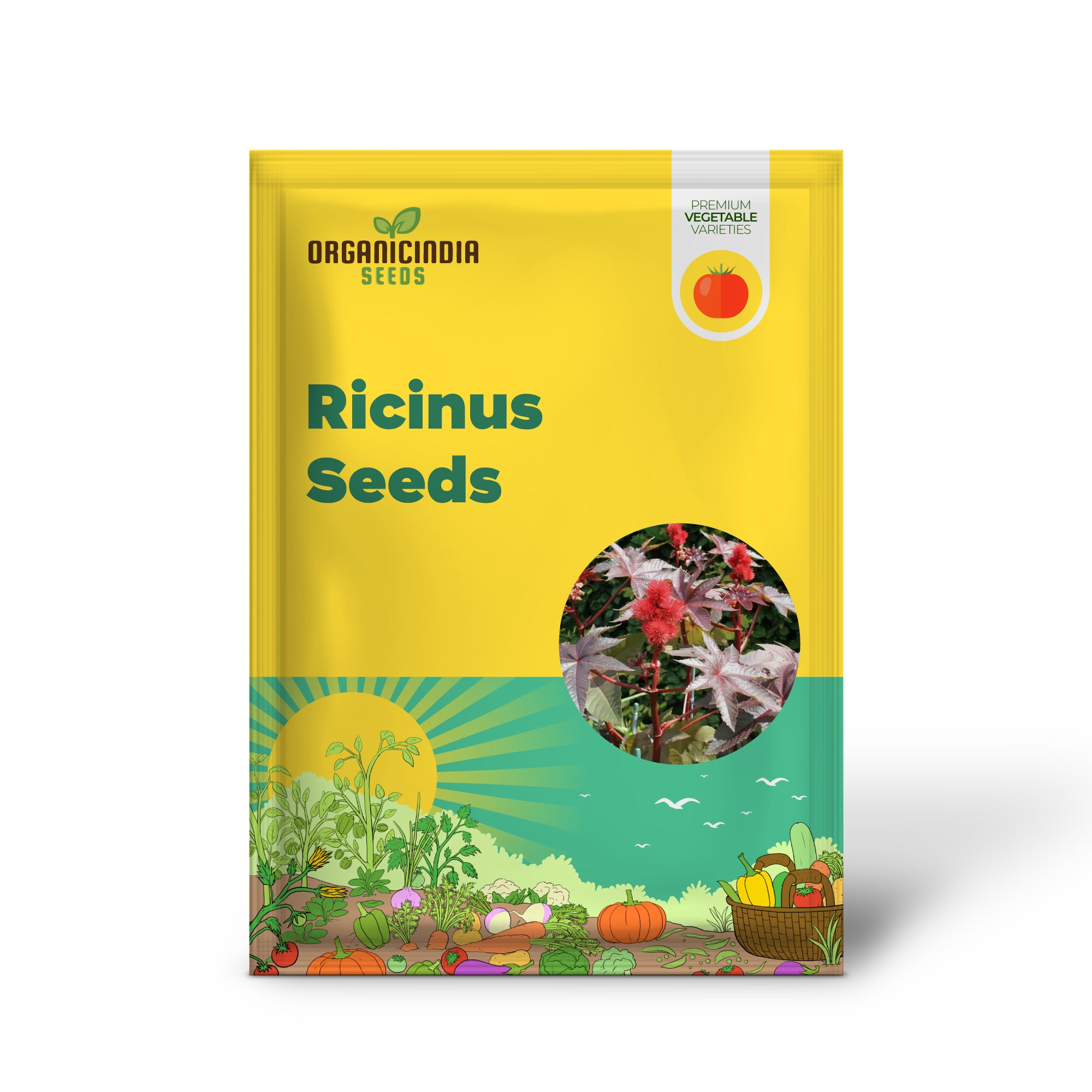 Graines de ricin biologiques - Carmencita Bright Red, paquet de 10 graines pour les amateurs de jardinage | Graines de ricin anciennes pour des jardins luxuriants et un aménagement paysager durable