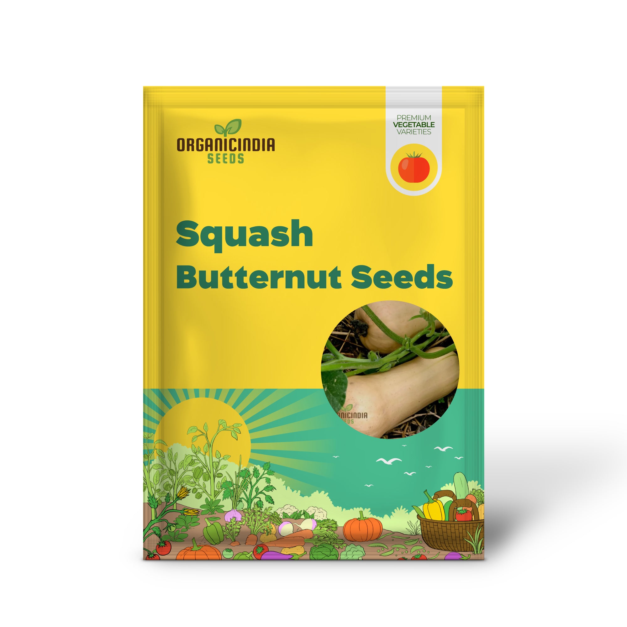 Winter Squash Butternut Waltham Seeds for Planting - Grow Sweet and Nutty Butternut Squash