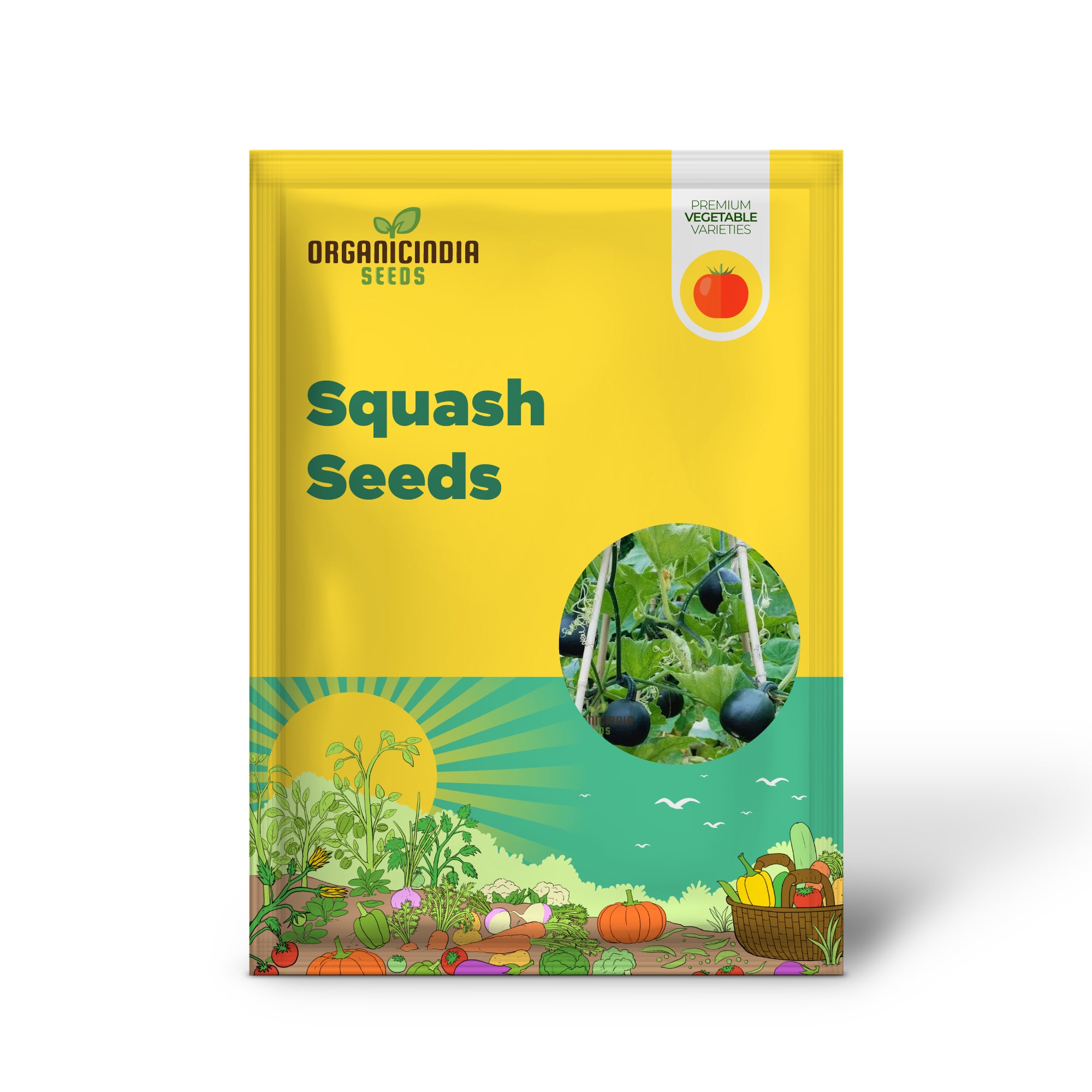 Squash 'Little Gem Rolet' Seeds For Planting: Hardy Gardening Variety for Your Vibrant Garden