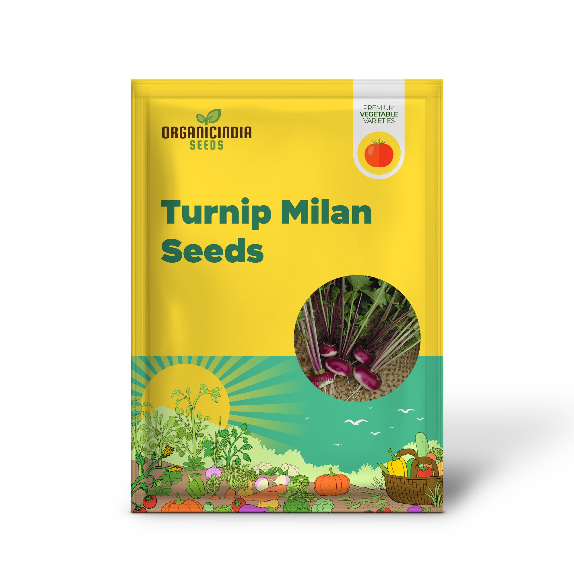 Turnip Milan Purple Top with Premium Vegetable Seeds for a Vibrant and Nutritious Addition to Your Garden