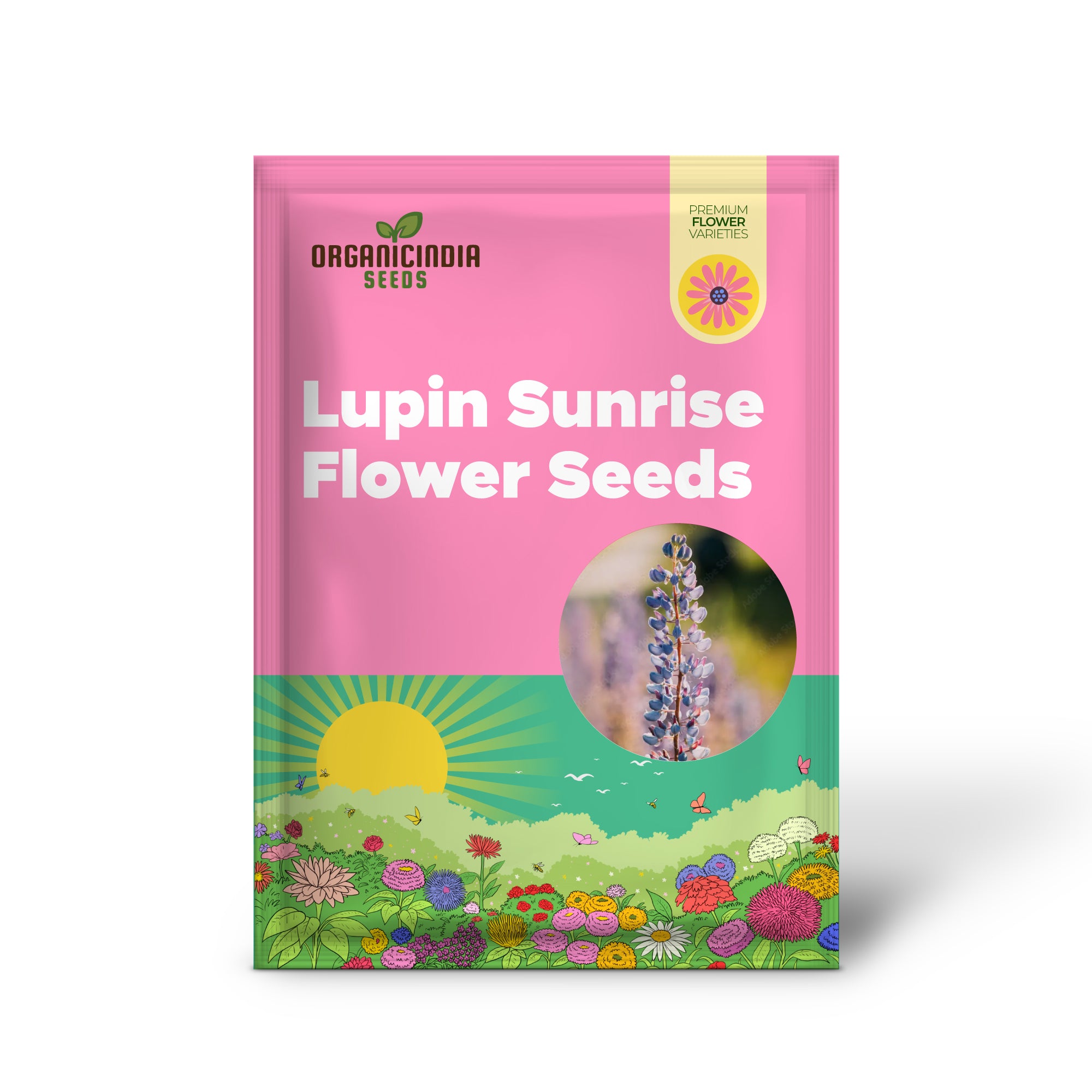 Lupinen-Sunrise-Blumensamen zum Anpflanzen: Eine Freude für Gärtner – Entdecken Sie leuchtende Blüten und Schönheit für Ihren Garten