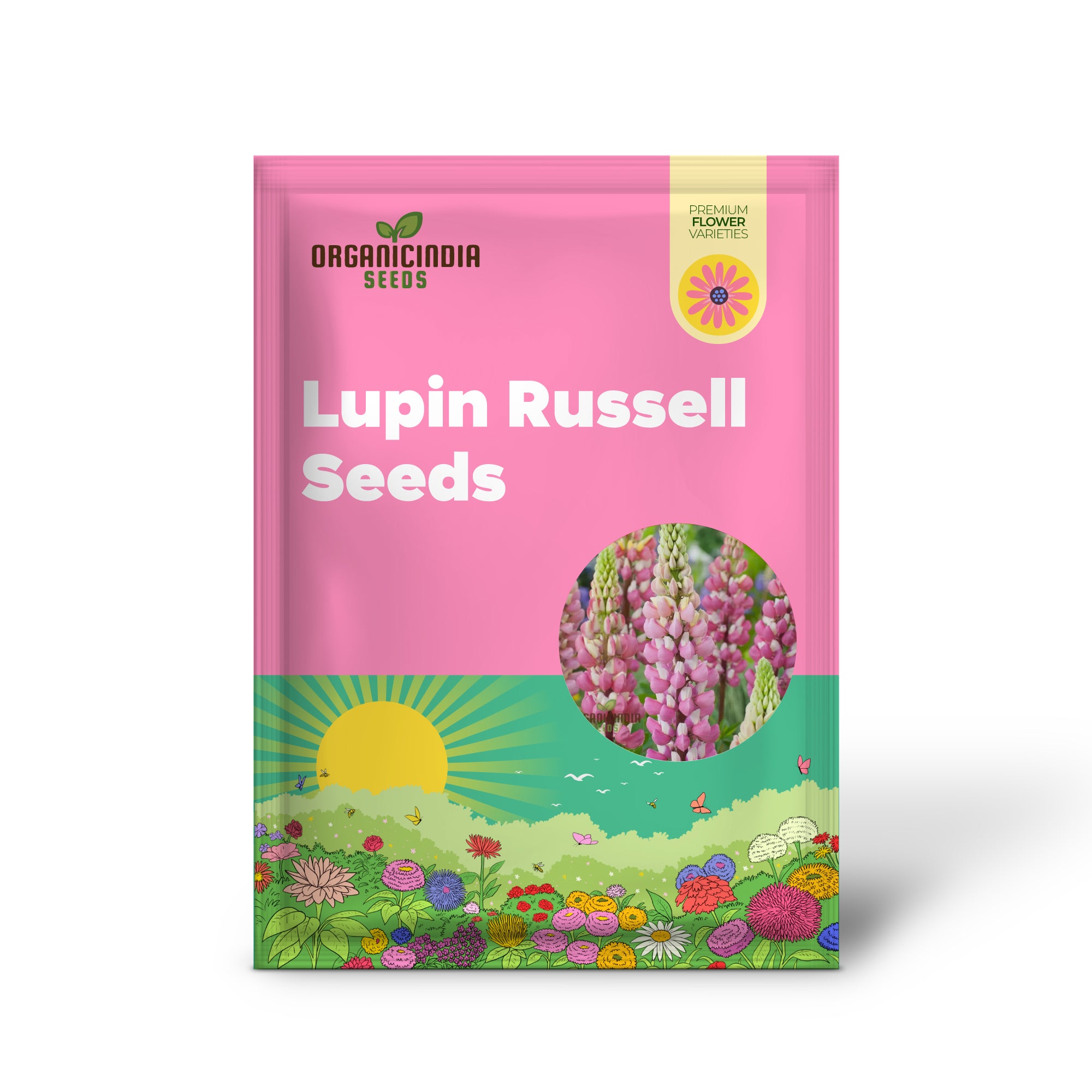 Samen Lupine Russell The Chatelaine - Pink: Premium-Gartensamen für lebendige Blumenarrangements und erfolgreiche Gartenarbeit