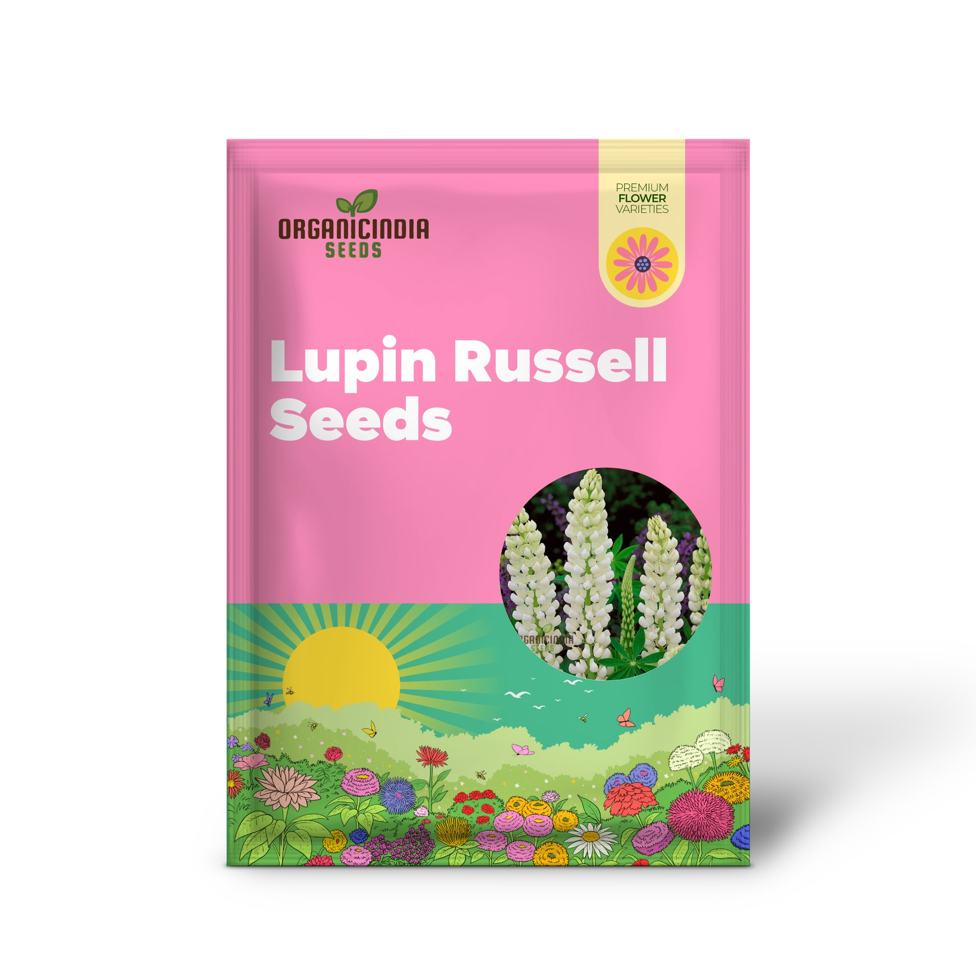 Lupin Russell Noble Maiden - White Seeds: Premium Garden Seeds for Stunning Floral Displays and Successful Gardening