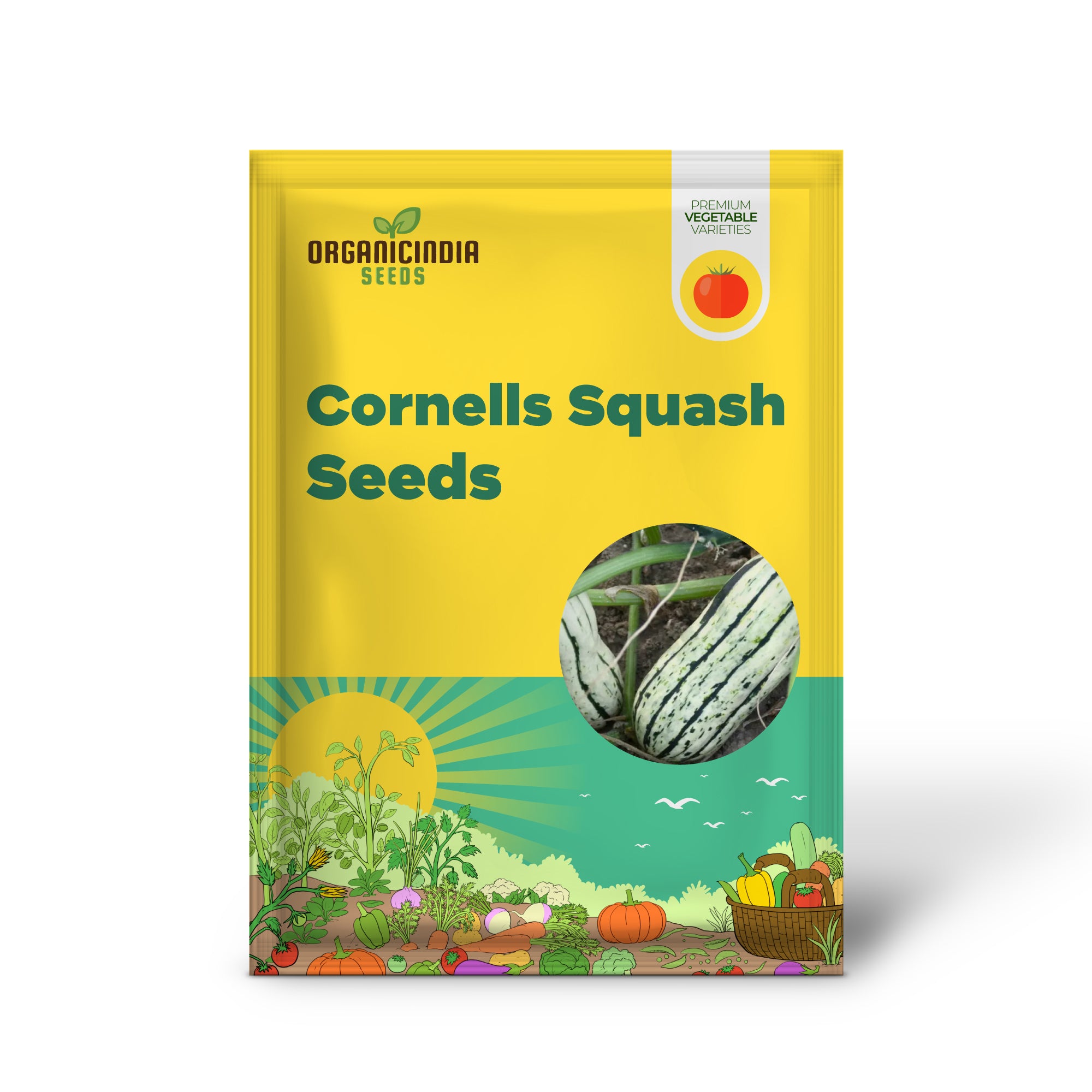 Cornells Squash Vegetable Seeds, A Guide to Planting and Gardening for Cultivating Flavorful and Nutritious Squash