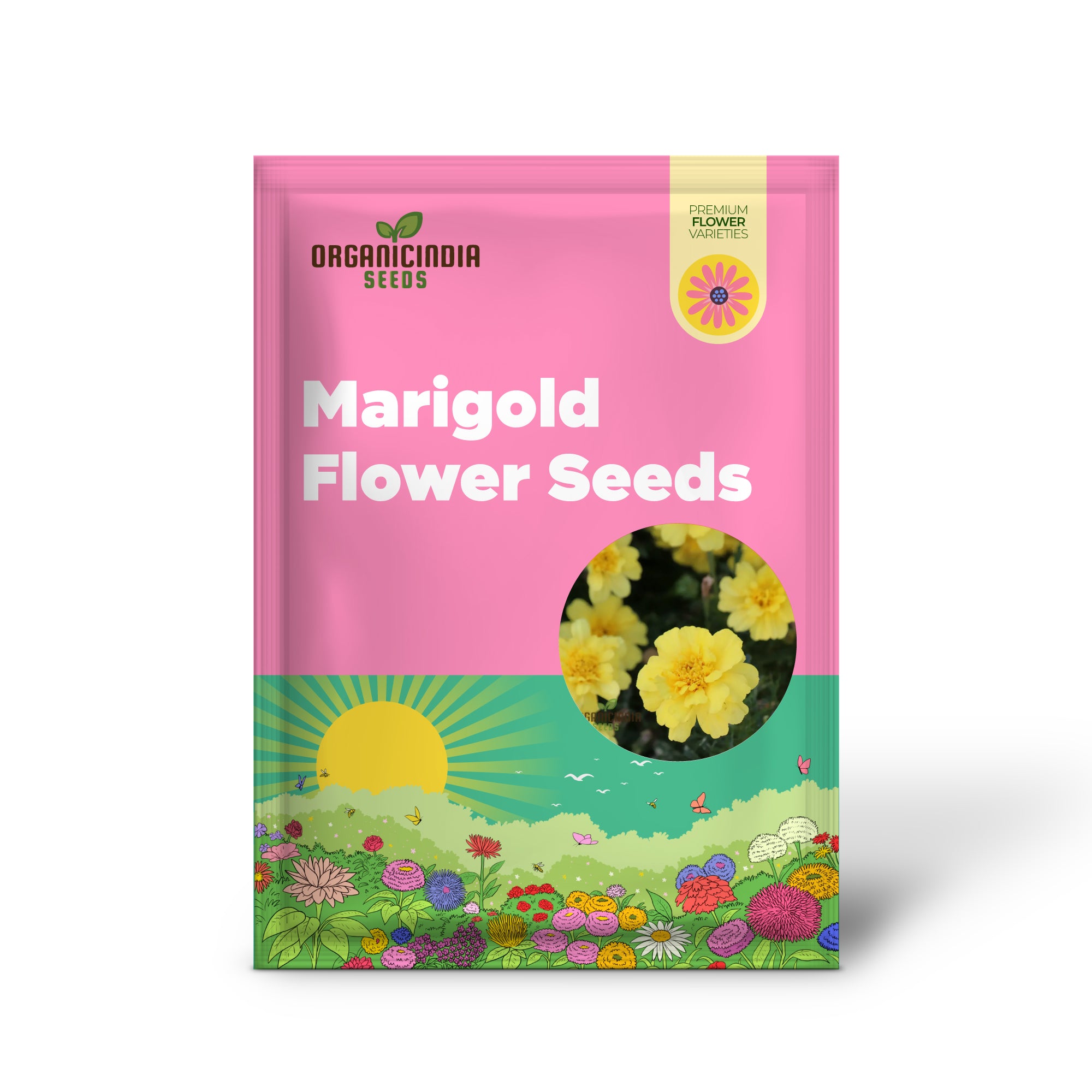 Marigold French Alumia Vanilla Cream Seeds Premium Quality Seeds for Beautiful Garden Blooms and Successful Gardening