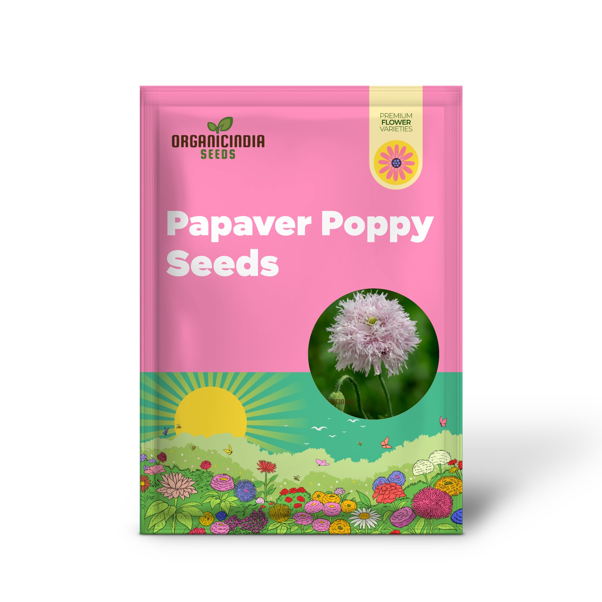 Papaver (Poppy Seeds) Somniferum Lilac Pom Pom - Grow Lovely Lilac Pom Pom Poppy Flowers in Your Garden